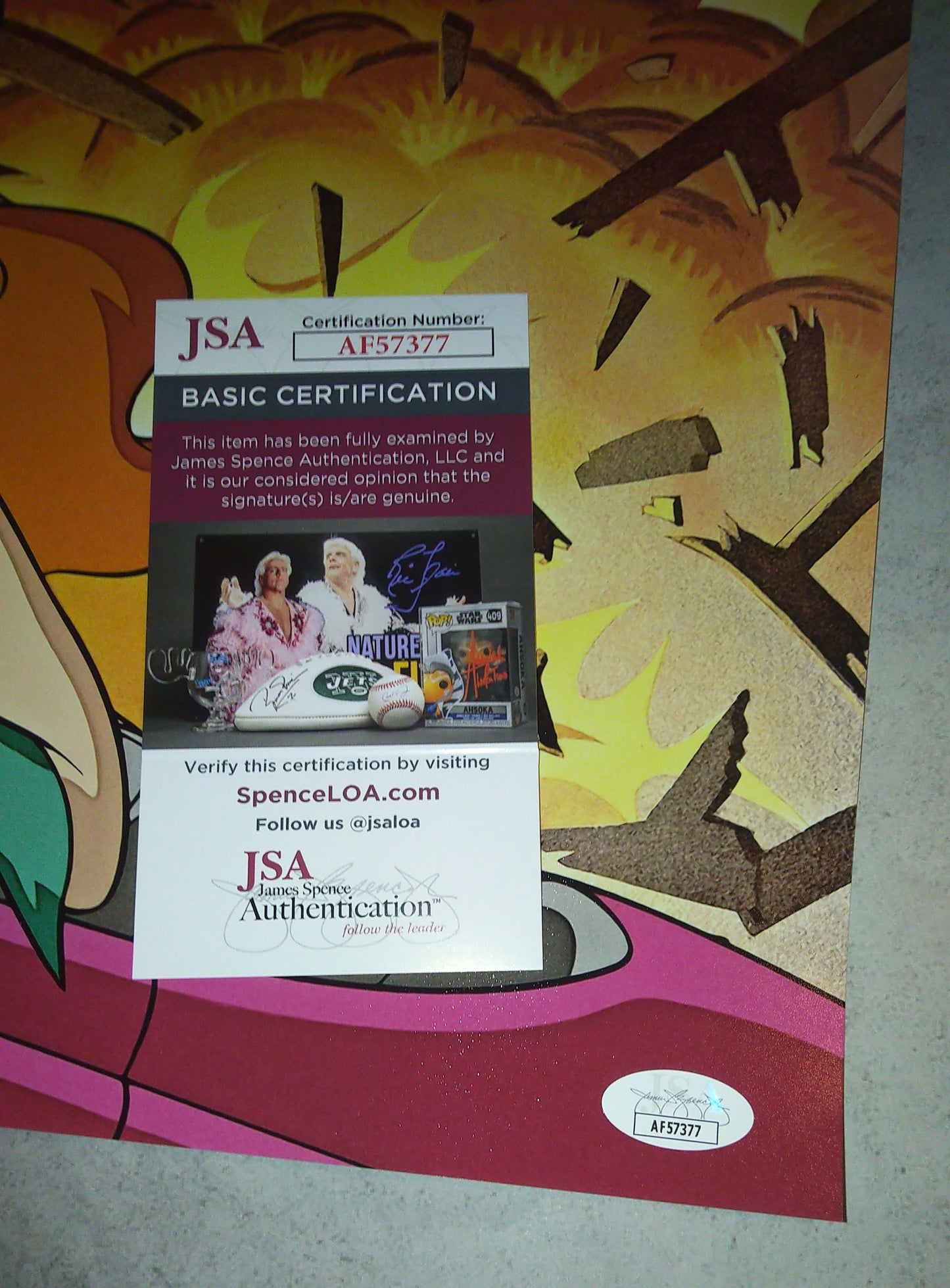 Diane Pershing Hand Signed Autograph 11x14 Photo