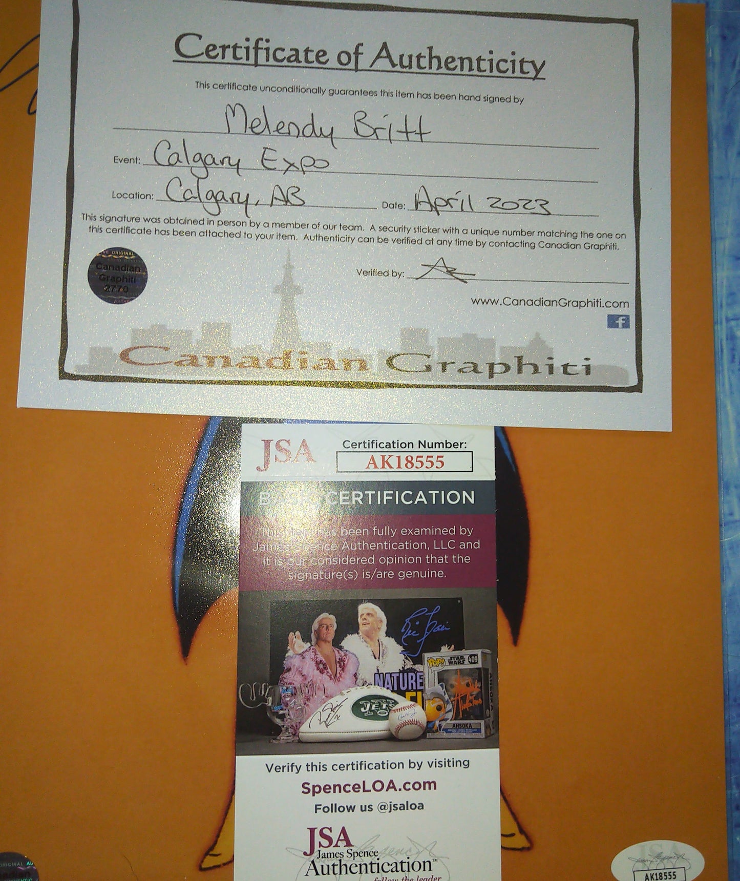 Melendy Britt Hand Signed Autograph 8x10 Photo COA + JSA Batgirl