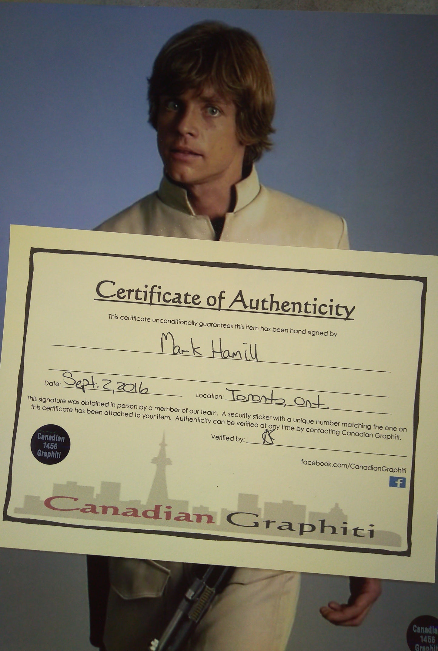 Mark Hamill Hand Signed Autograph 8x10 Photo COA Star Wars