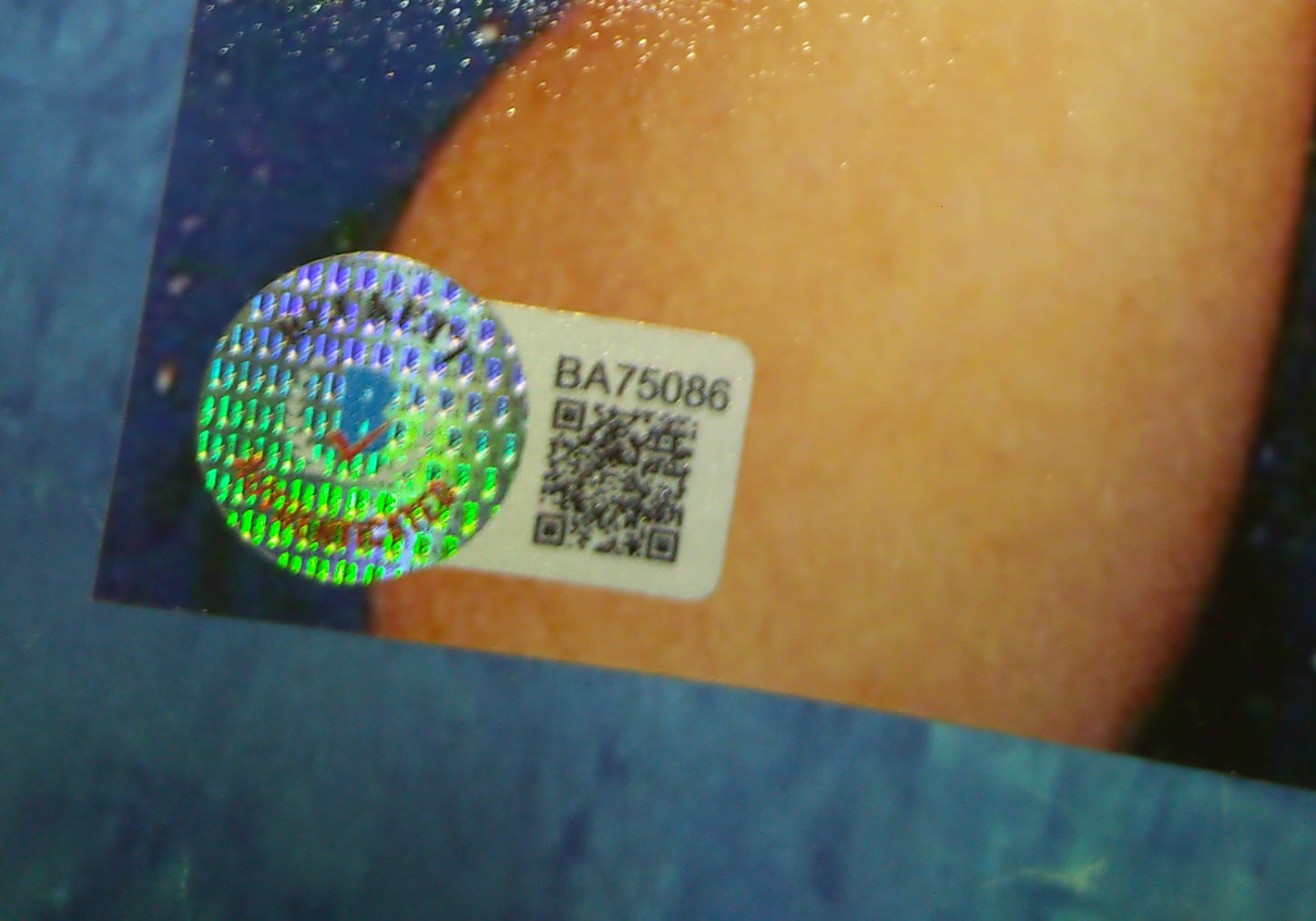 Duff McKagan Hand Signed Autograph 8x10 Photo BAS COA Guns N Roses