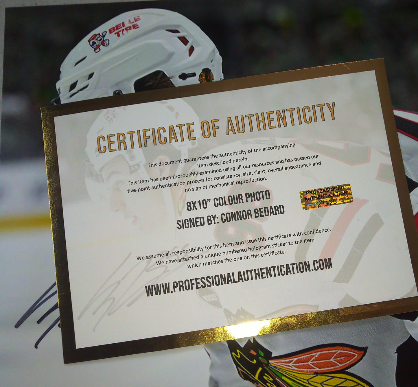 Connor Bedard Hand Signed Autograph 8x10 Photo COA Chicago Blackhawks