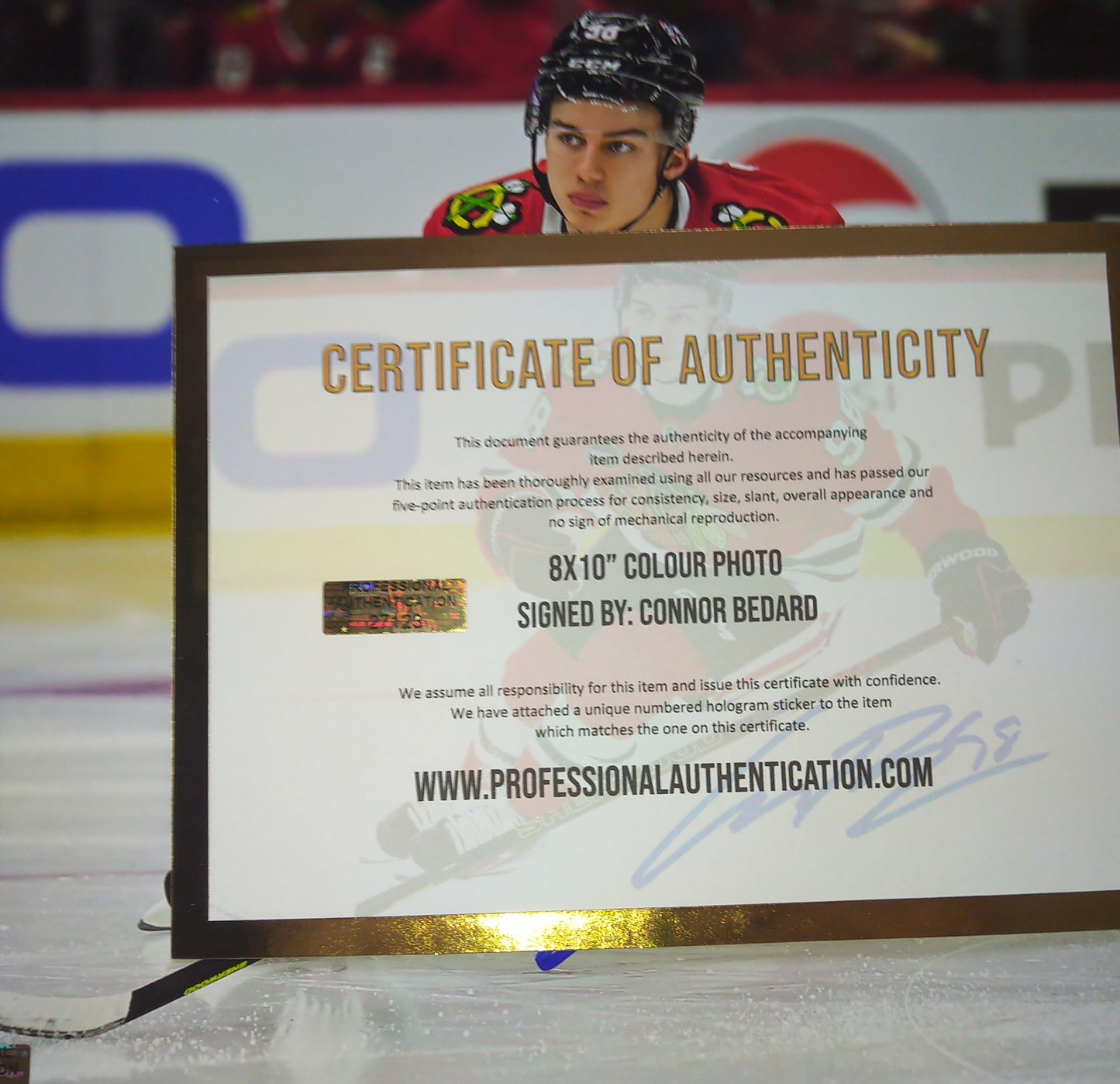 Connor Bedard Hand Signed Autograph 8x10 Photo COA Chicago Blackhawks
