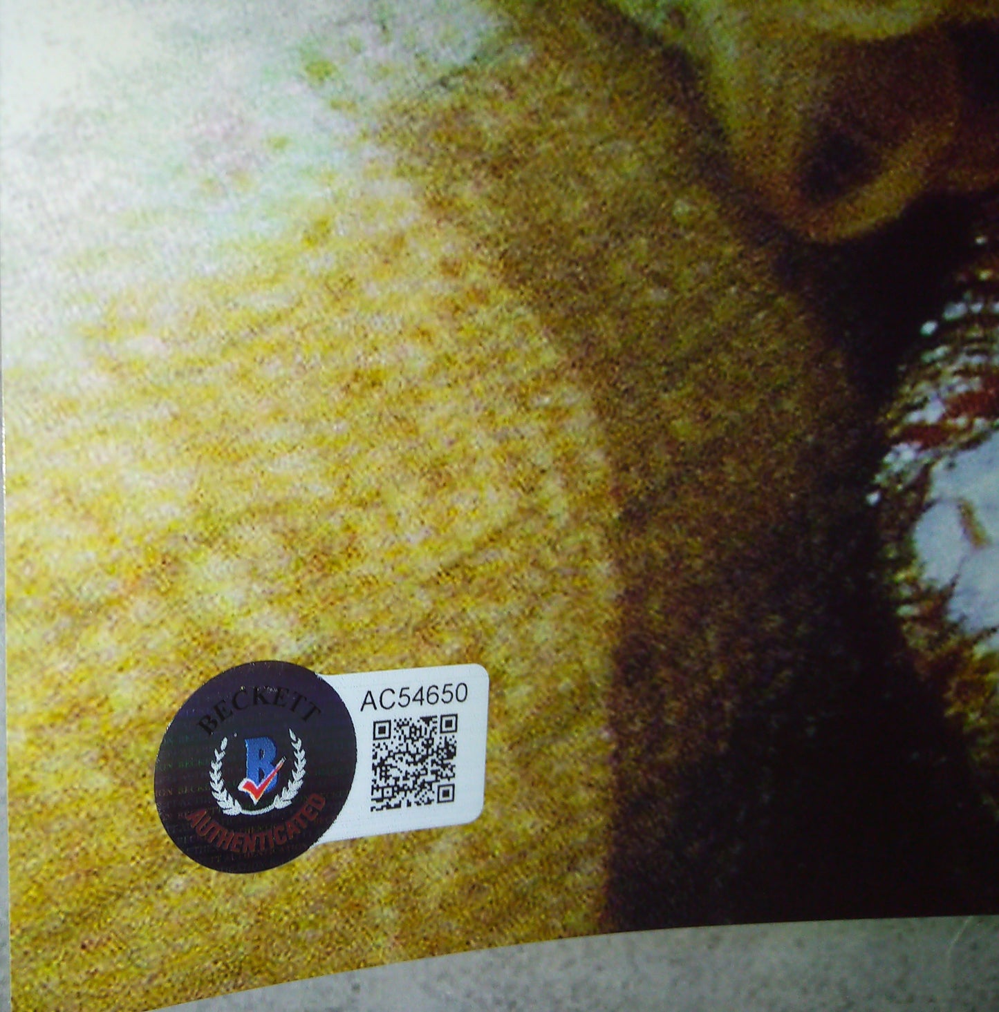 Lin Shaye Hand Signed Autograph 8x10 Photo BAS COA