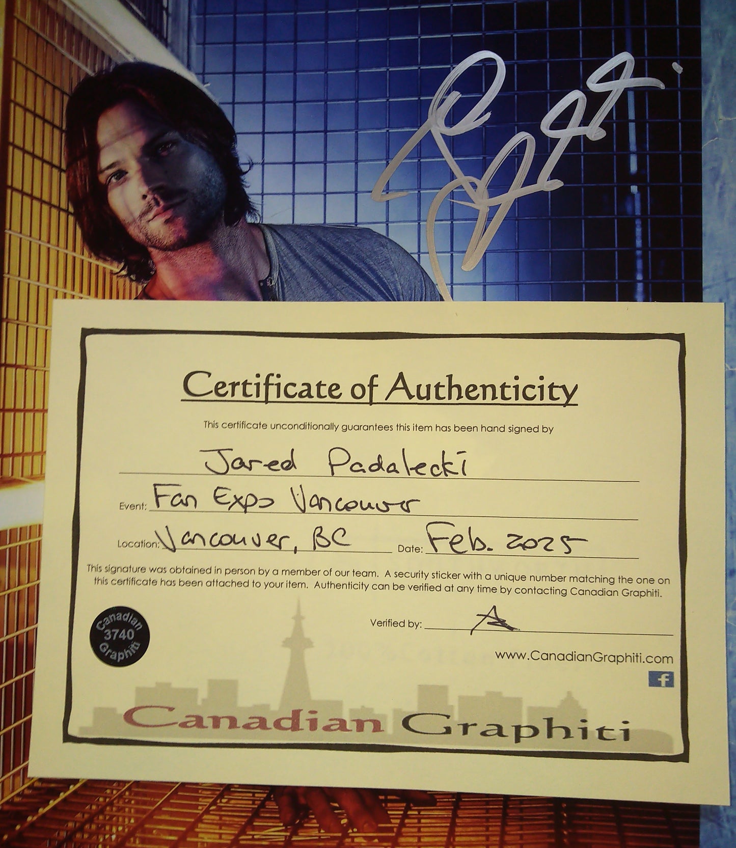 Jared Padalecki Hand Signed Autograph 8x10 Photo COA Supernatural