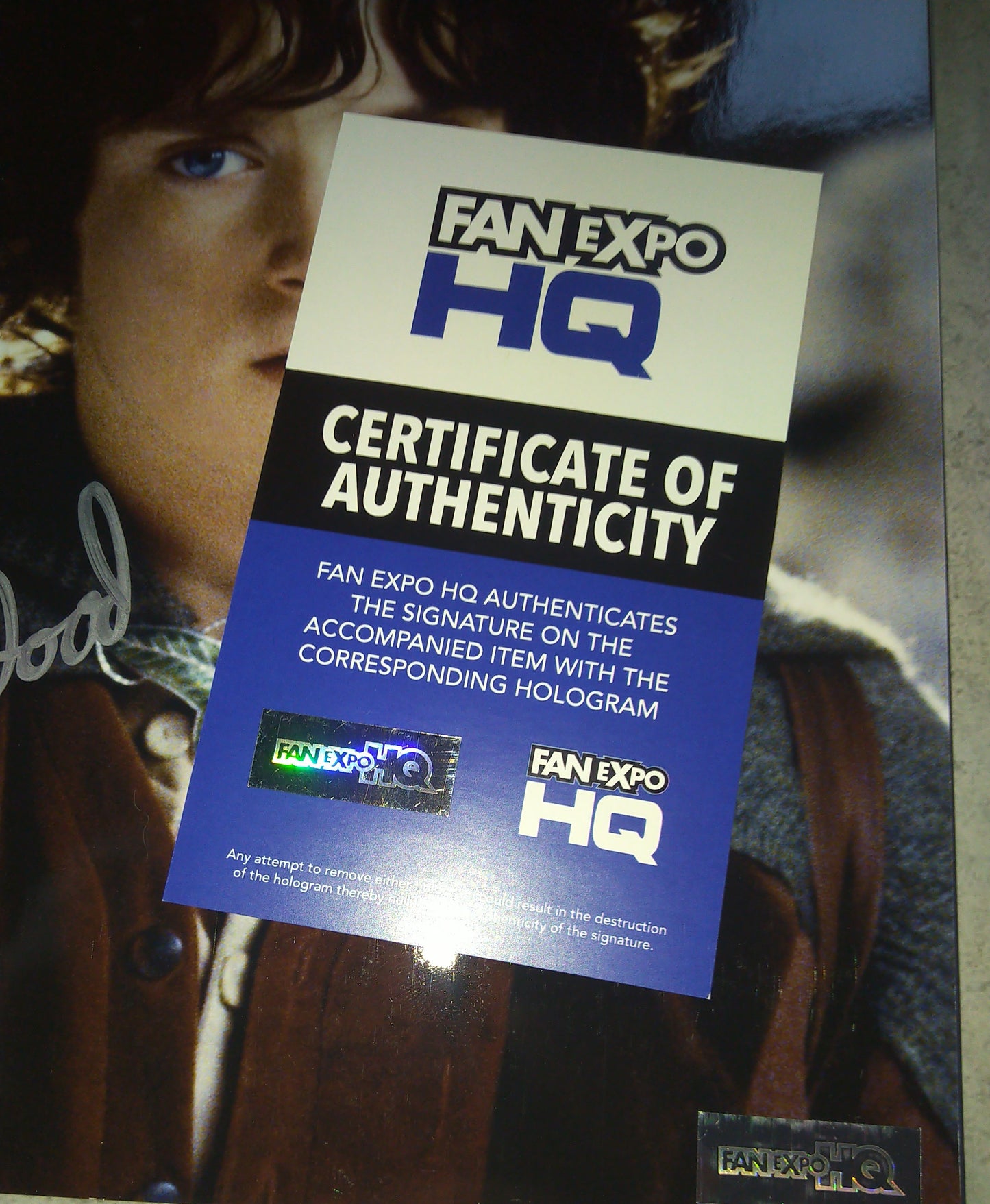 Elijah Wood Hand Signed Autograph 8x10 Photo COA Lord Of The Rings