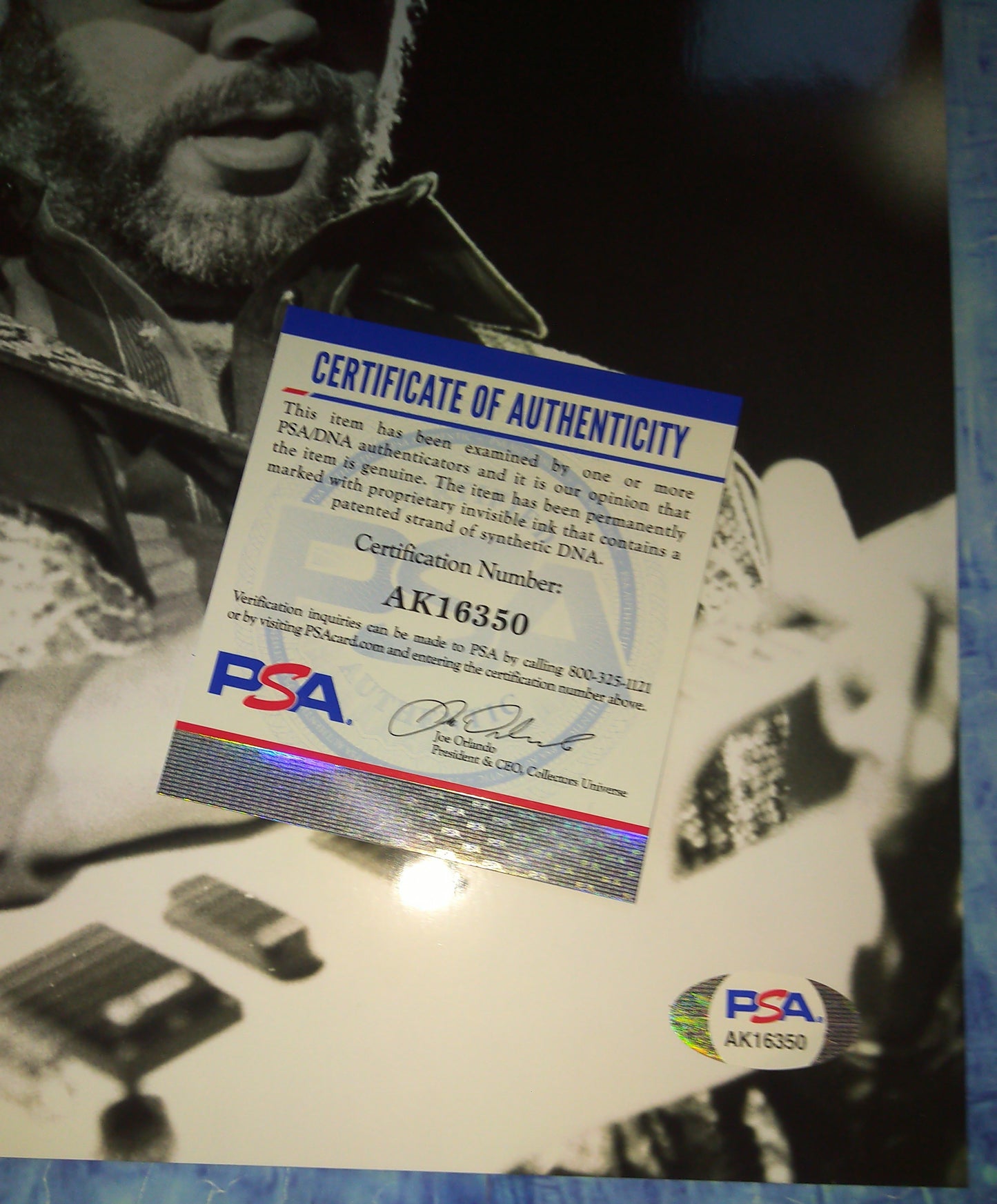 Hank Williams Jr Hand Signed Autograph 8x10 Photo PSA COA