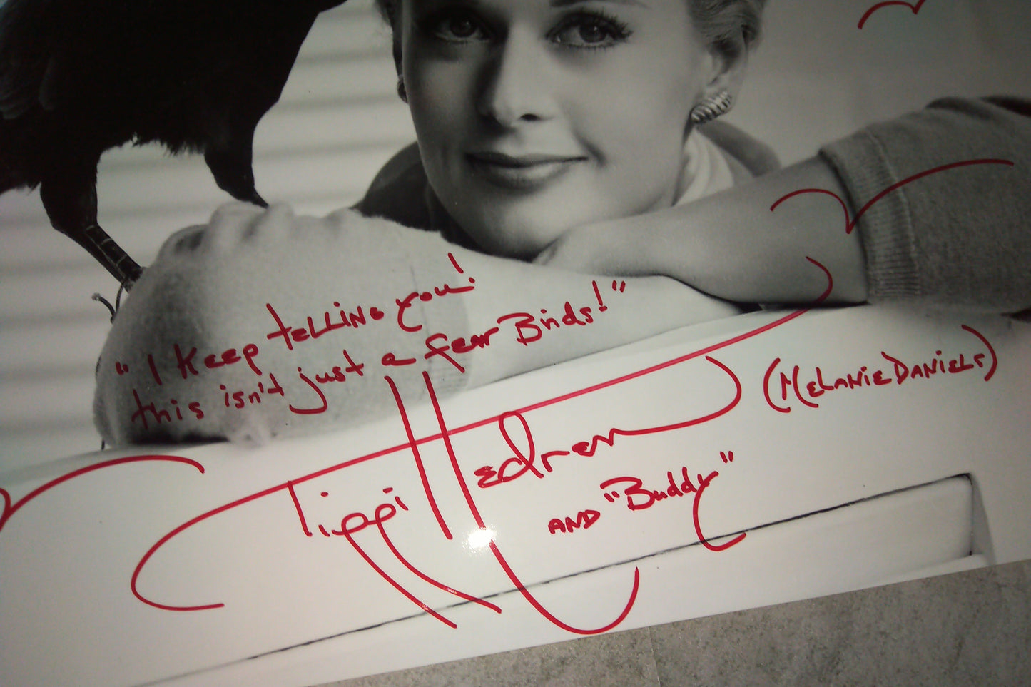 Tippi Hedren Hand Signed Autograph 11x14 Photo COA The Birds