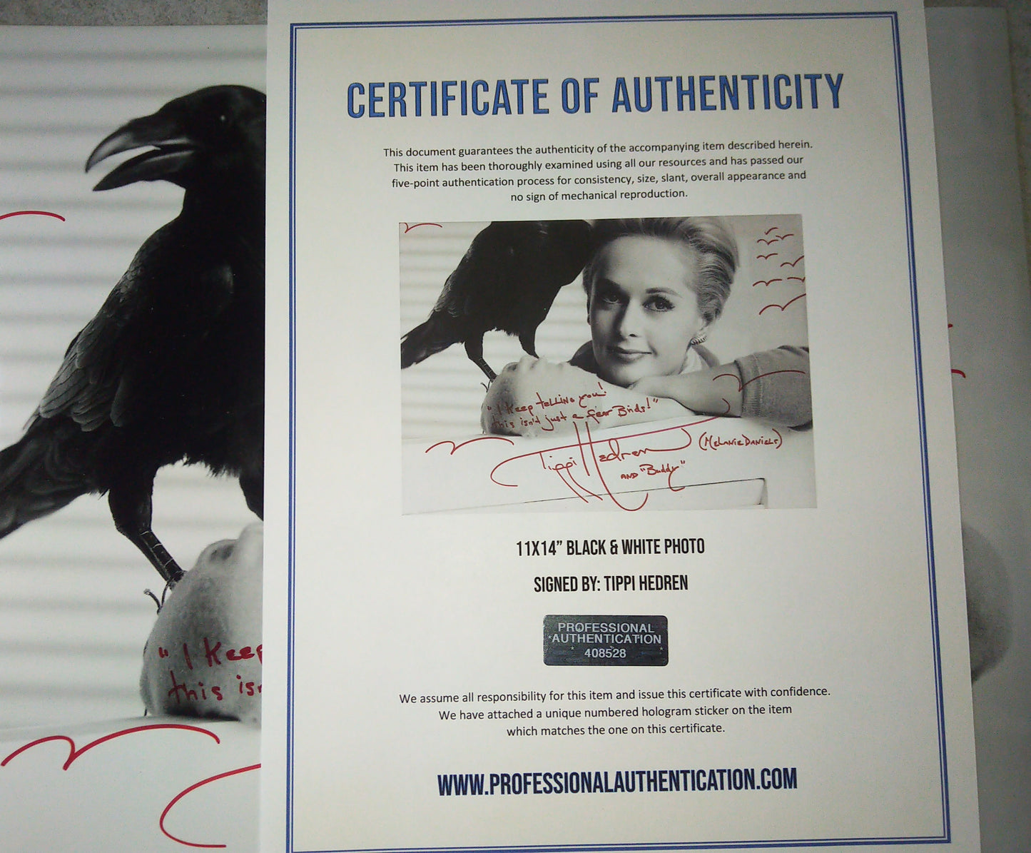 Tippi Hedren Hand Signed Autograph 11x14 Photo COA The Birds