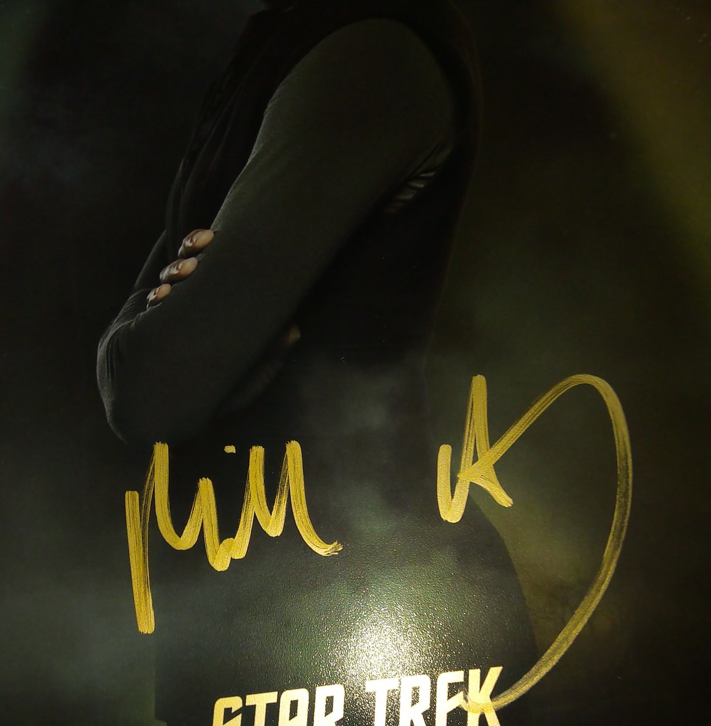Michelle Hurd Hand Signed Autograph 8x10 Photo COA Star Trek Picard