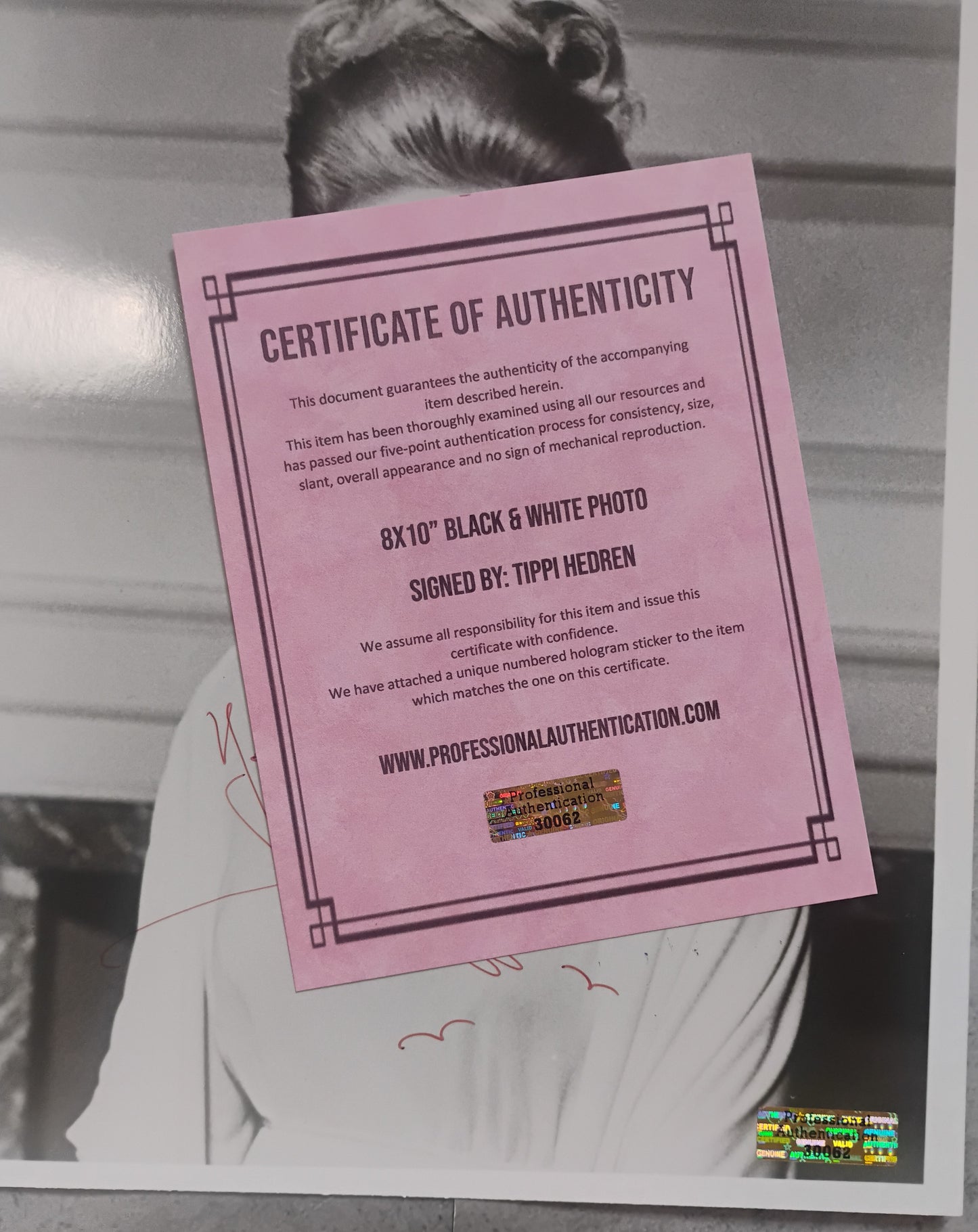 Tippi Hedren Hand Signed Autograph 8x10 Photo PSA COA