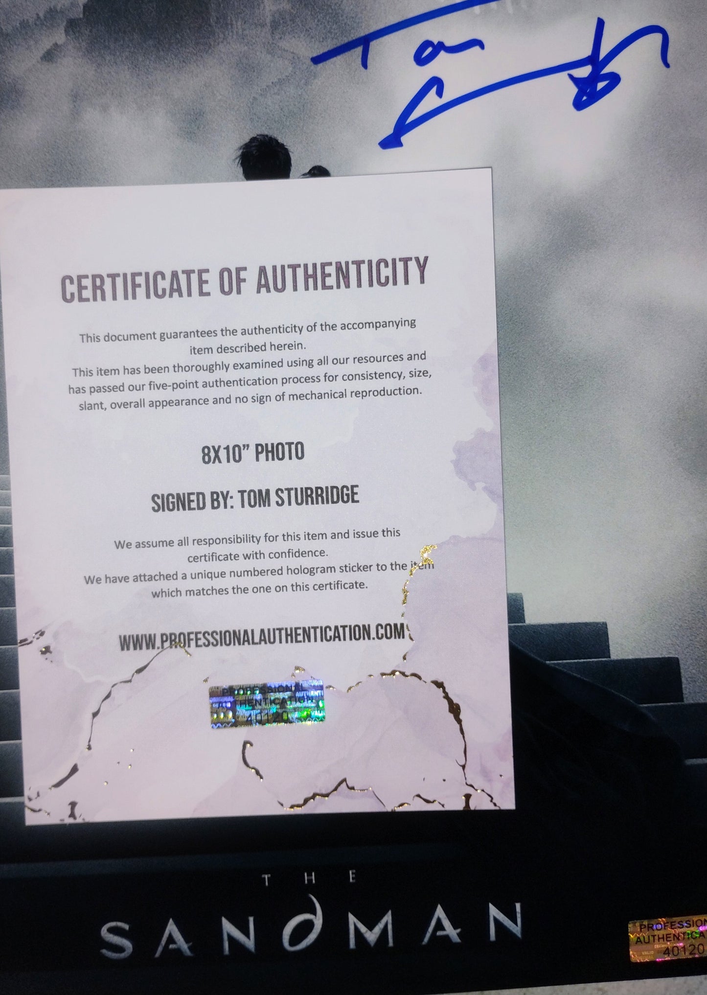 Tom Sturridge Hand Signed Autograph 8x10 Photo COA The Sandman