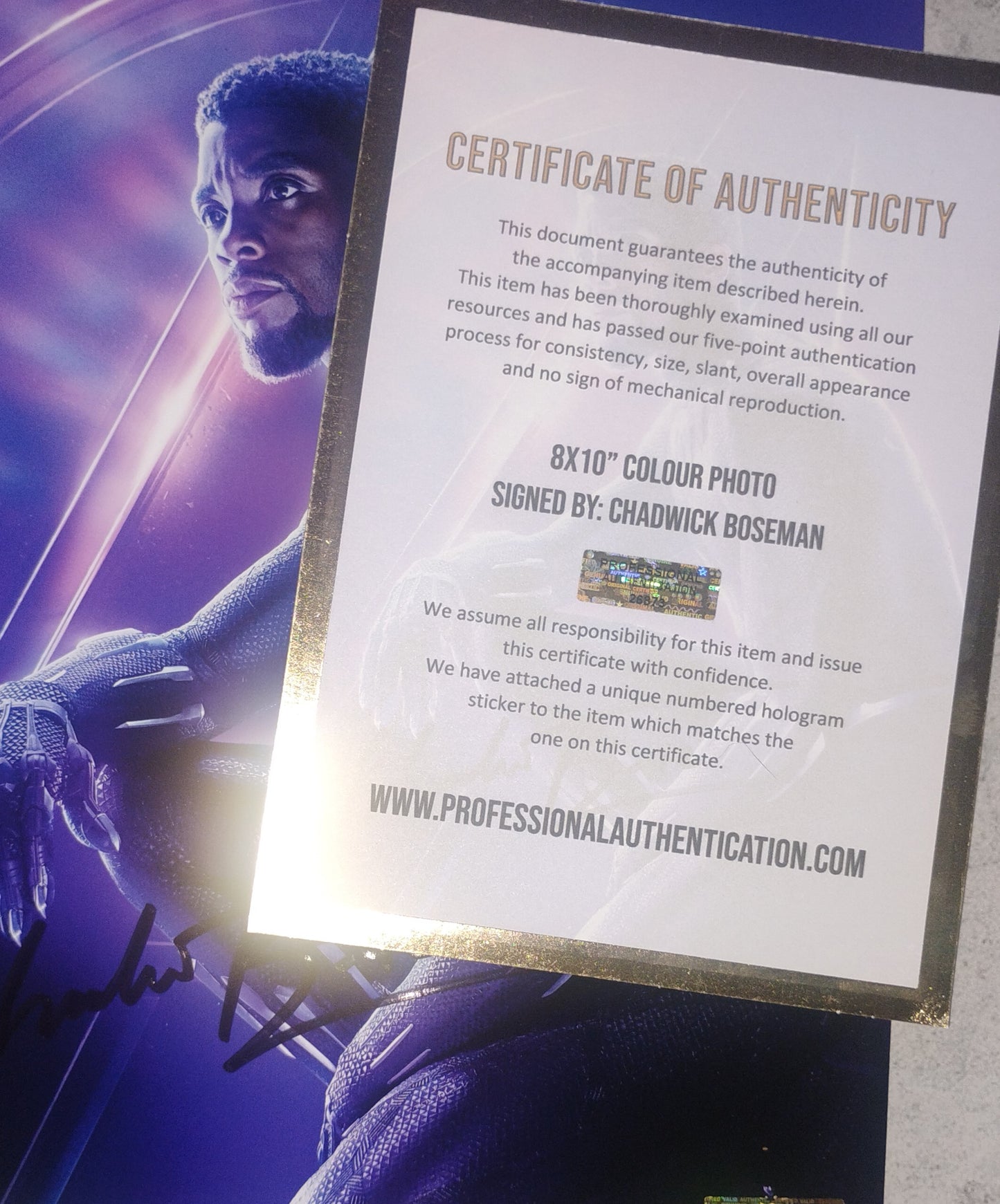 Chadwick Boseman Hand Signed Autograph 8x10 Photo COA Black Panther