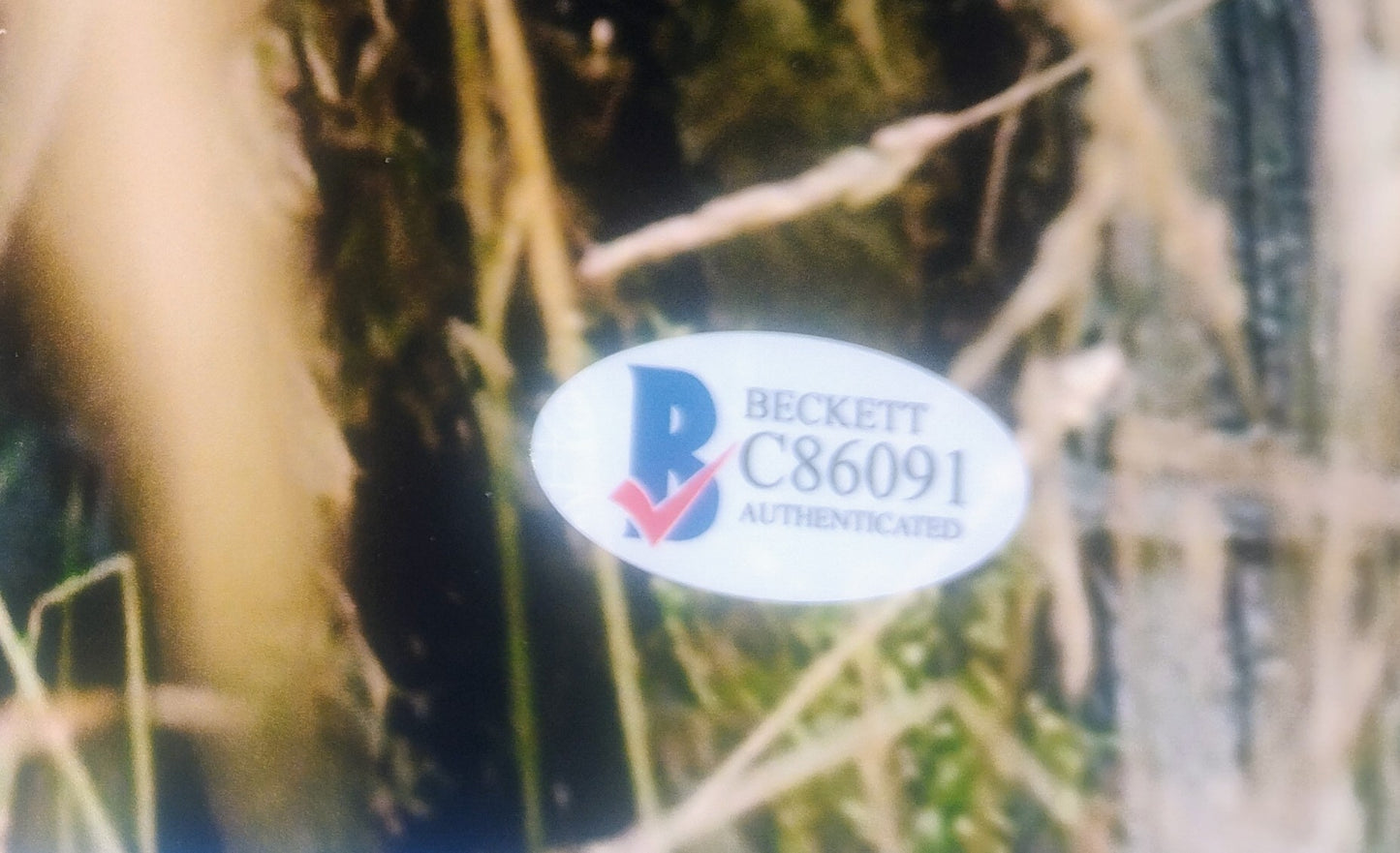 Bill Skarsgard Hand Signed Autograph 11x14 Photo BAS COA Pennywise