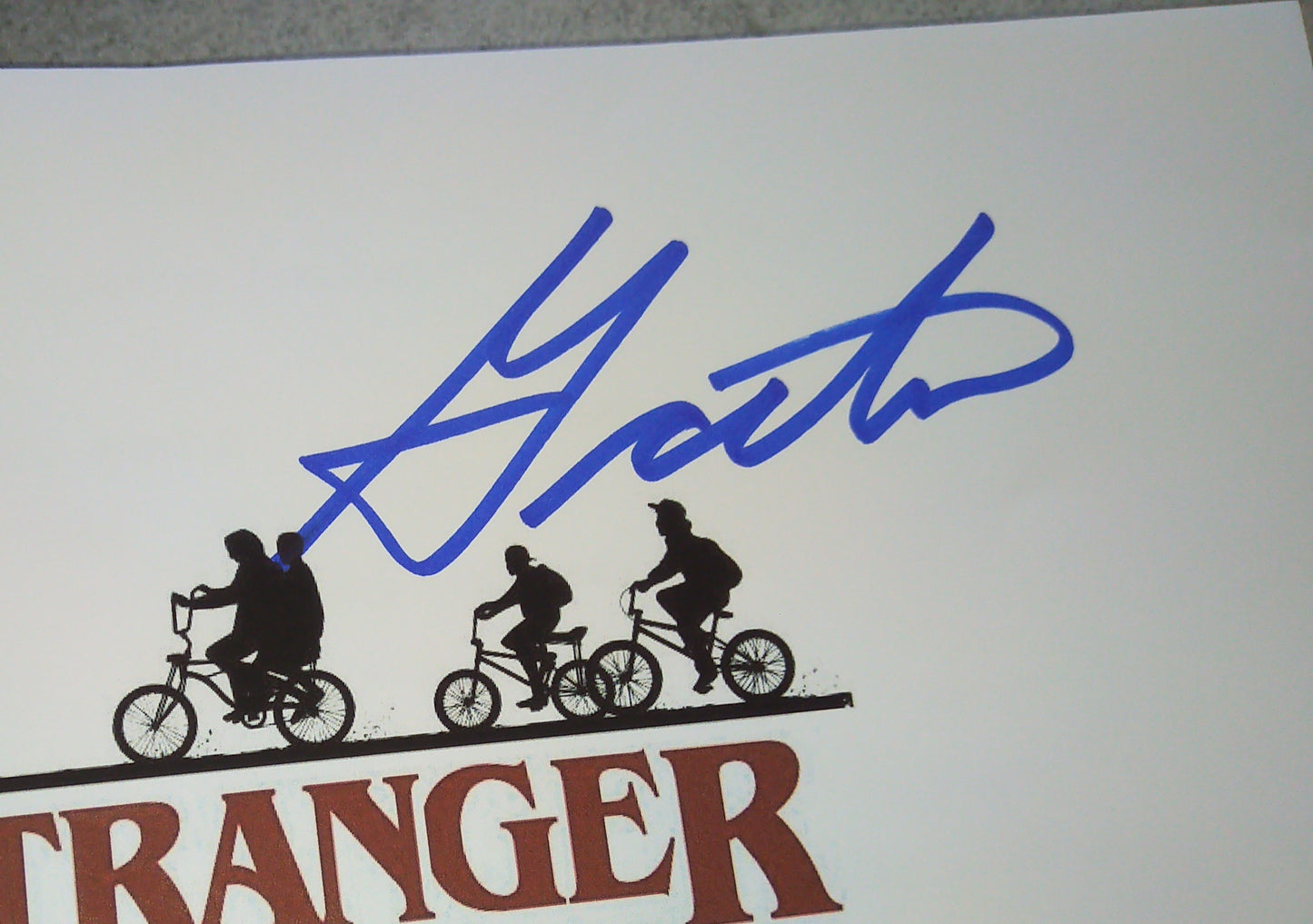 Stranger Things Cast Hand Signed Autograph Script COA David Harbour