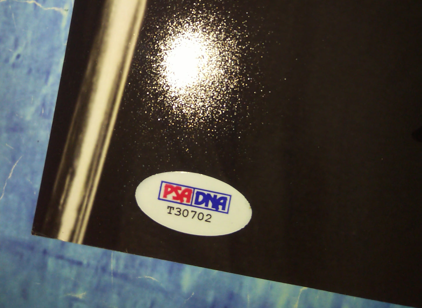 Pete Townshend Hand Signed Autograph 8x10 Photo PSA COA The Who