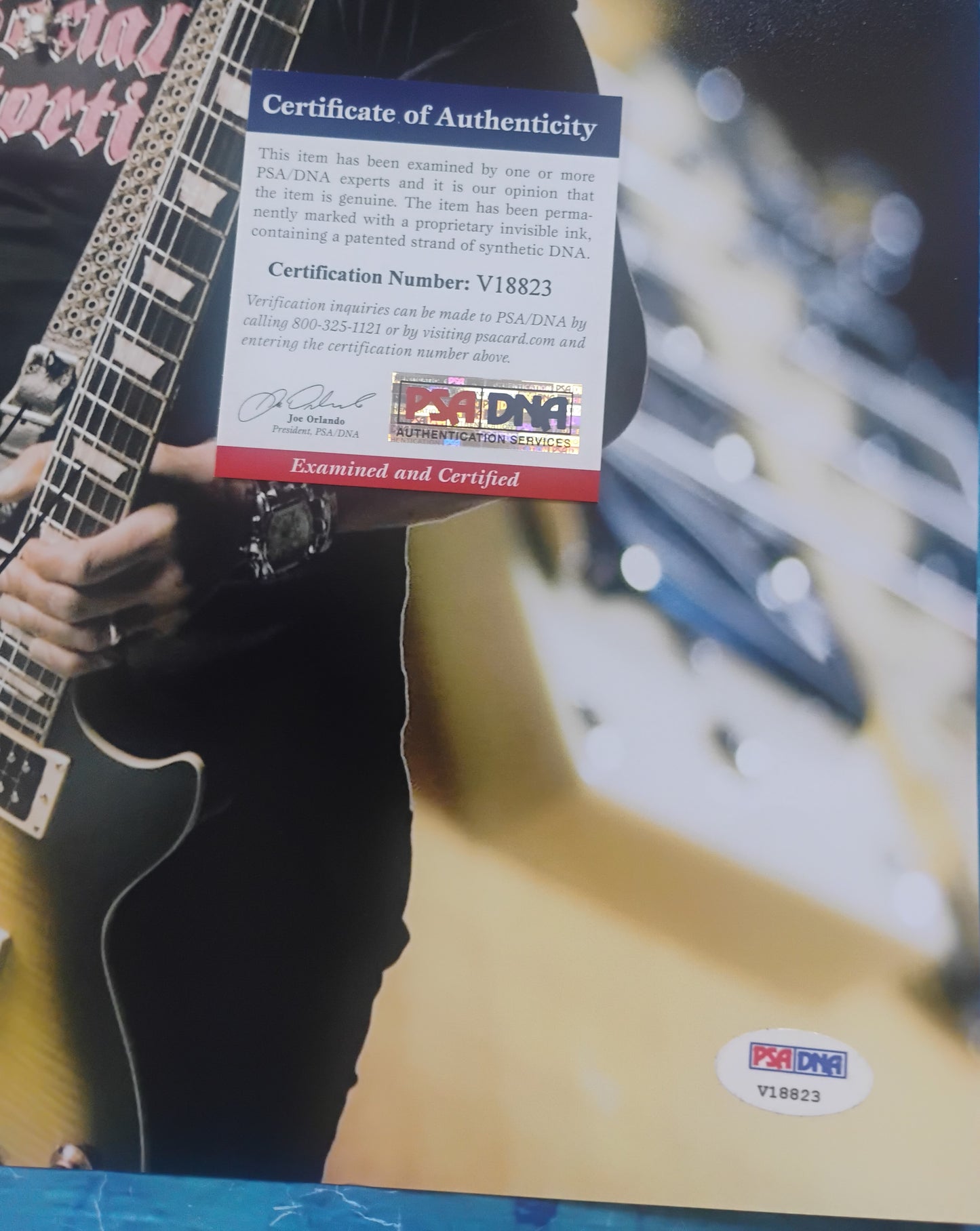 Slash Hand Signed Autograph 11x14 Photo PSA COA Guns N Roses