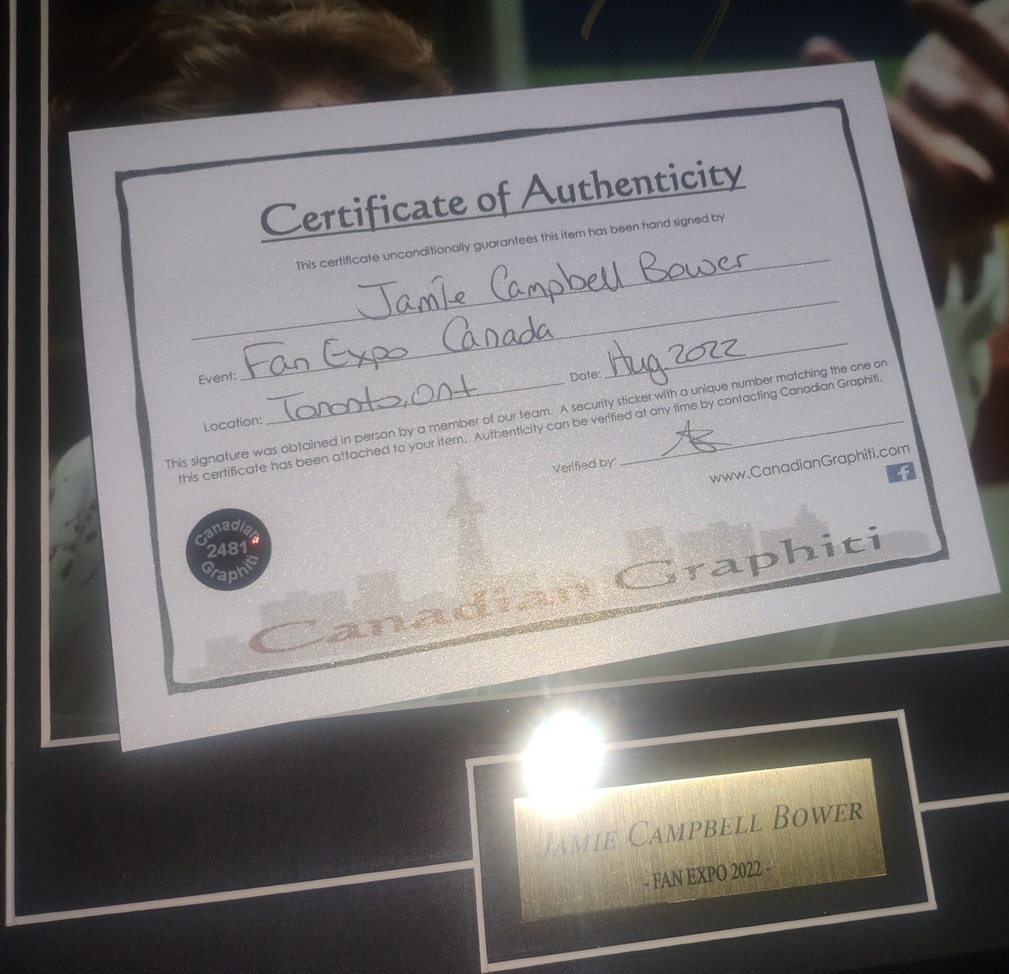 Jamie Campbell Bower Hand Signed Autograph Photo Framed COA Stranger Things