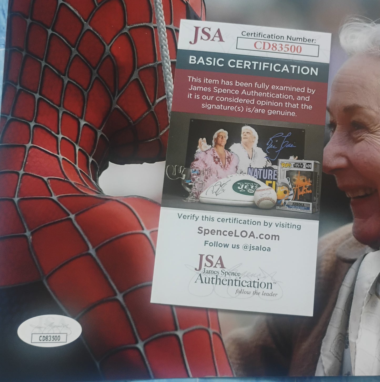 Rosemary Harris Hand Signed Autograph 8x10 Photo JSA COA Spider-man