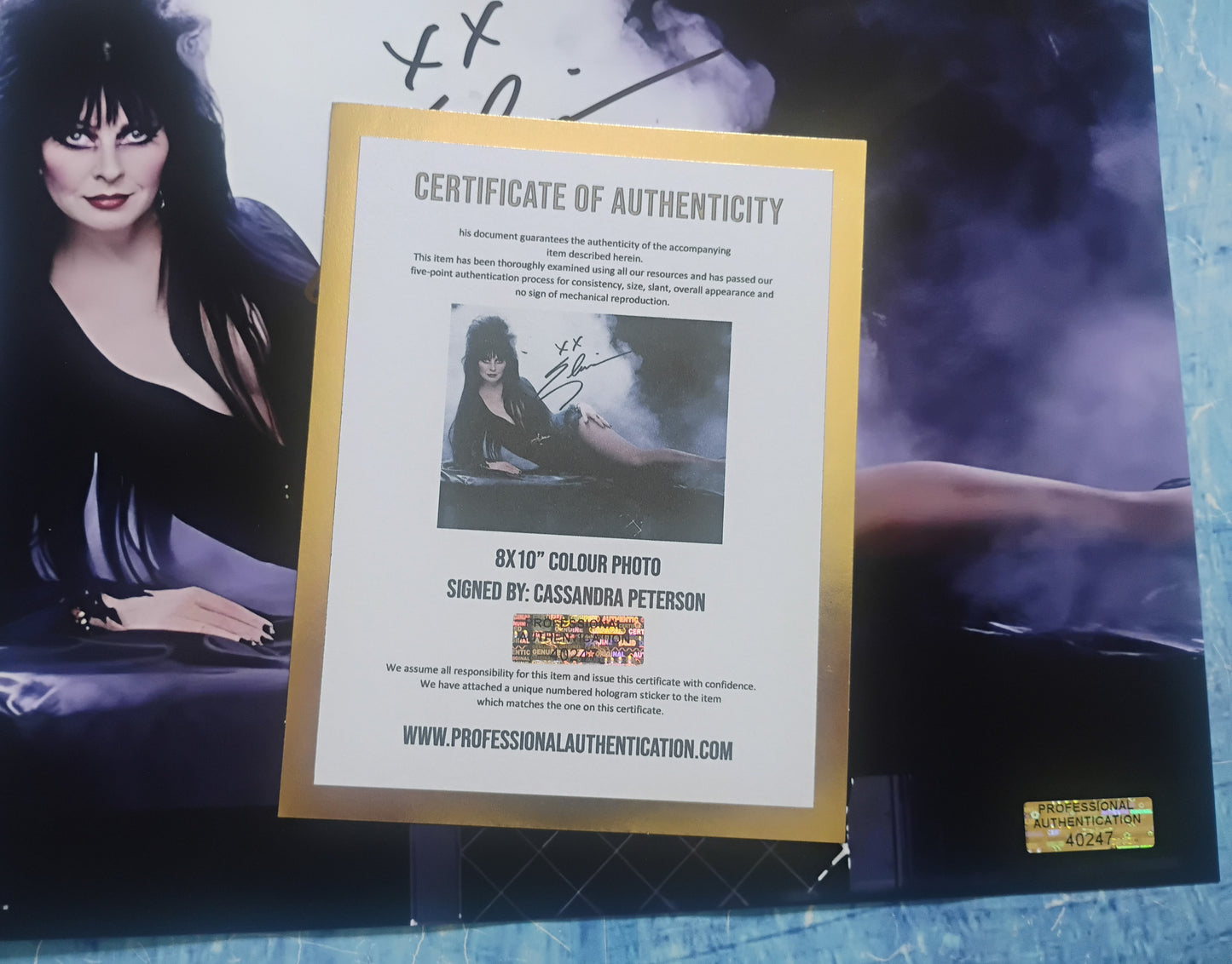 Elvira Cassandra Peterson Hand Signed Autograph 8x10 Photo COA
