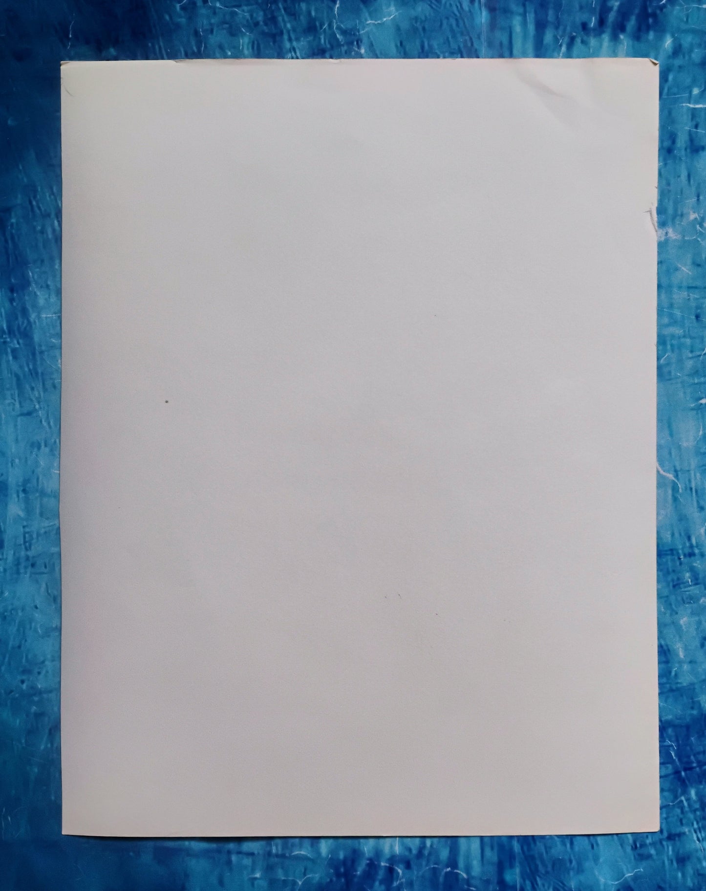 Janet Leigh Hand Signed Autograph 8x10 Photo JSA COA