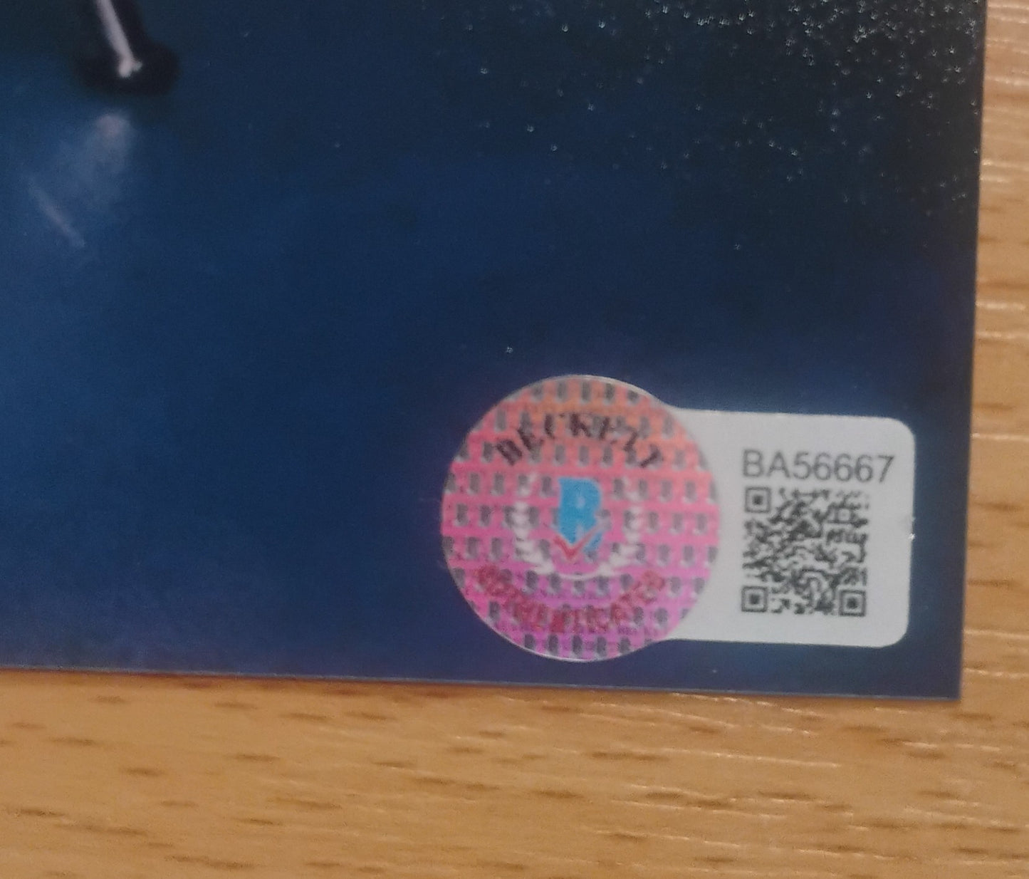 Sarah Michelle Gellar Hand Signed Autograph 8x10 Photo BAS COA