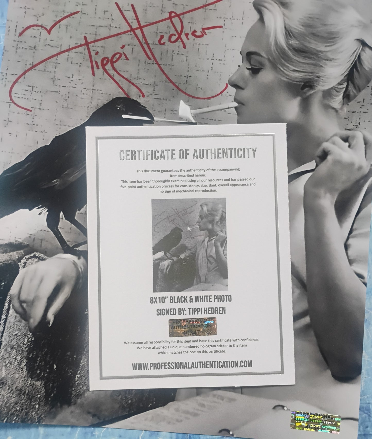 Tippi Hedren Hand Signed Autograph 8x10 Photo COA The Birds