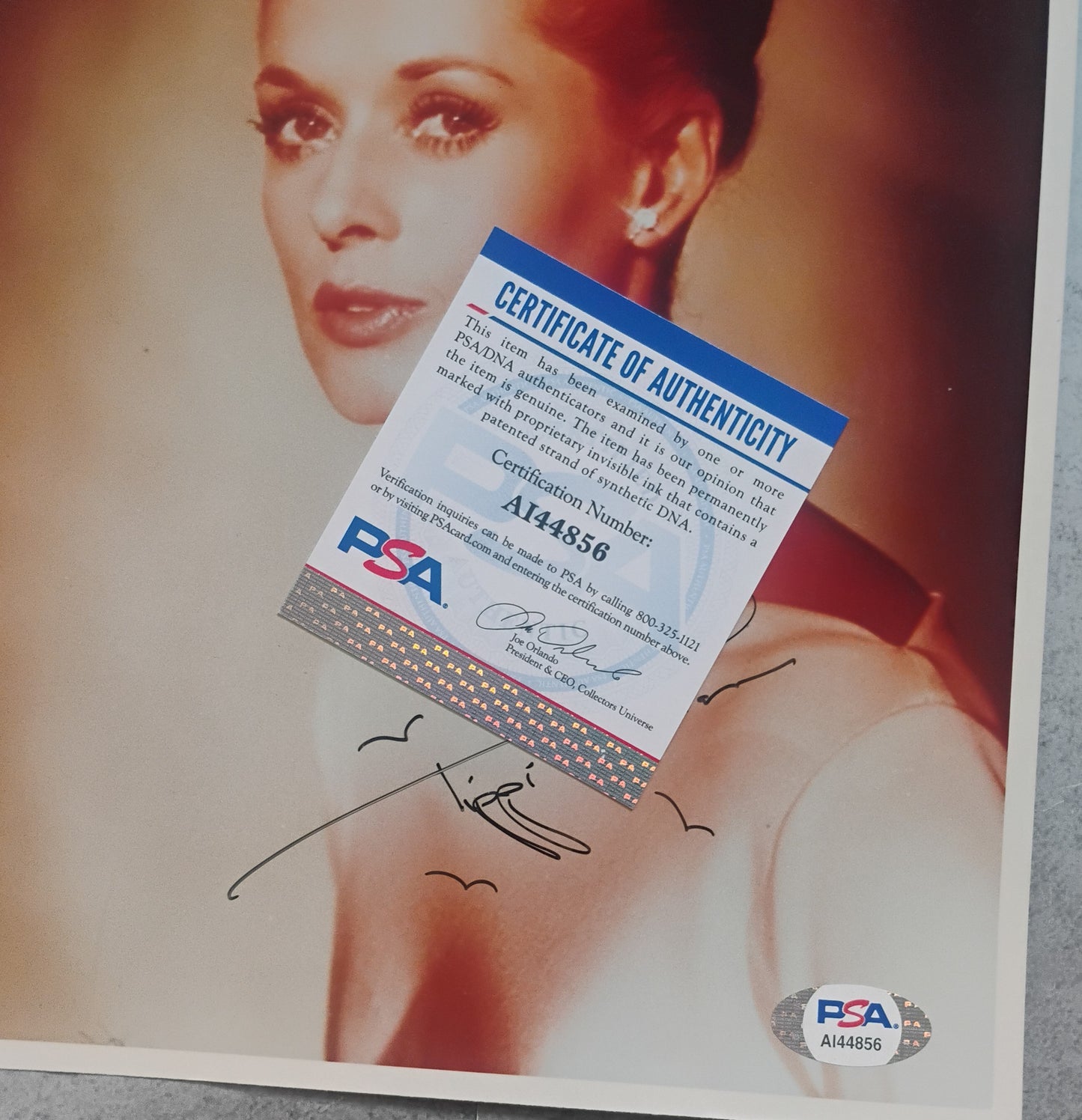 Tippi Hedren Hand Signed Autograph 8x10 Photo PSA COA