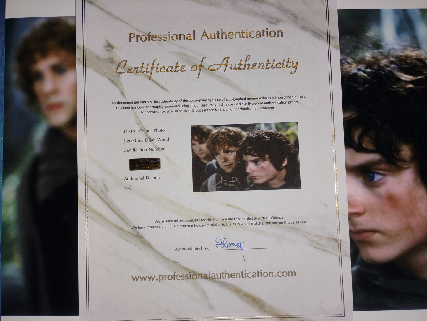 Elijah Wood Hand Signed Autograph 11x17 Photo COA Lord Of The Rings