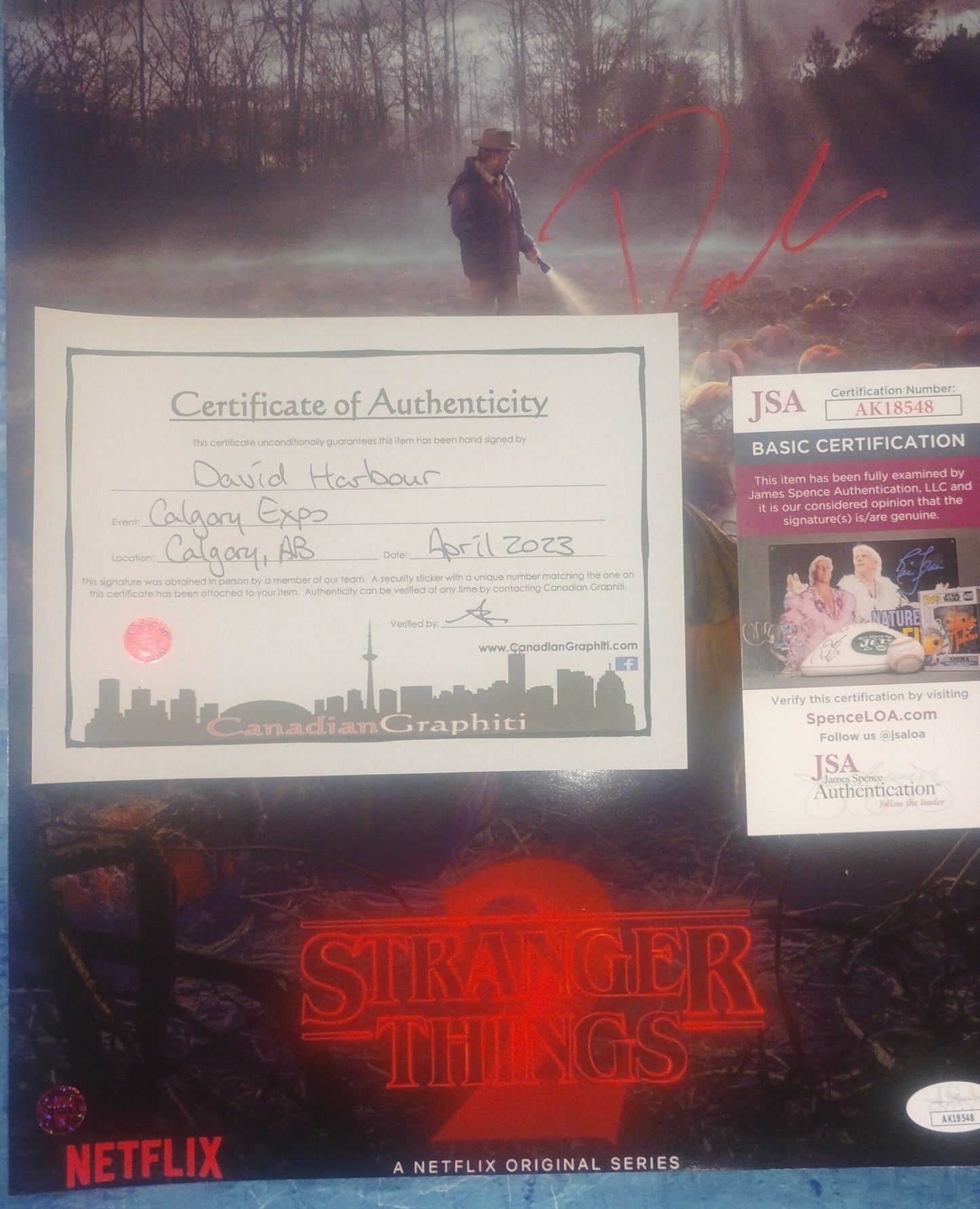 David Harbour Hand Signed Autograph 11x14 Photo JSA COA Stranger Things