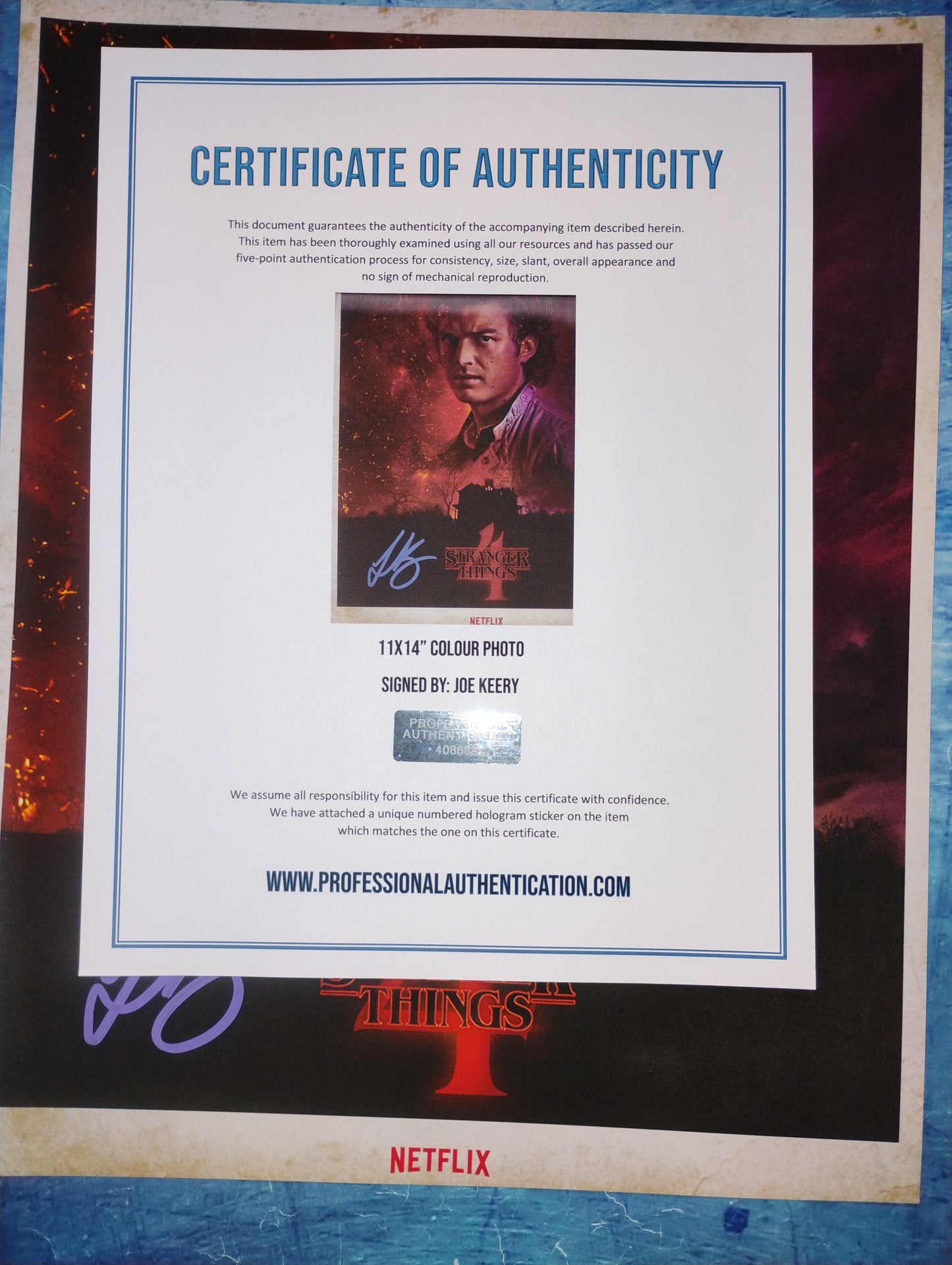 Joe Keery Hand Signed Autograph 11x14 Photo COA Stranger Things