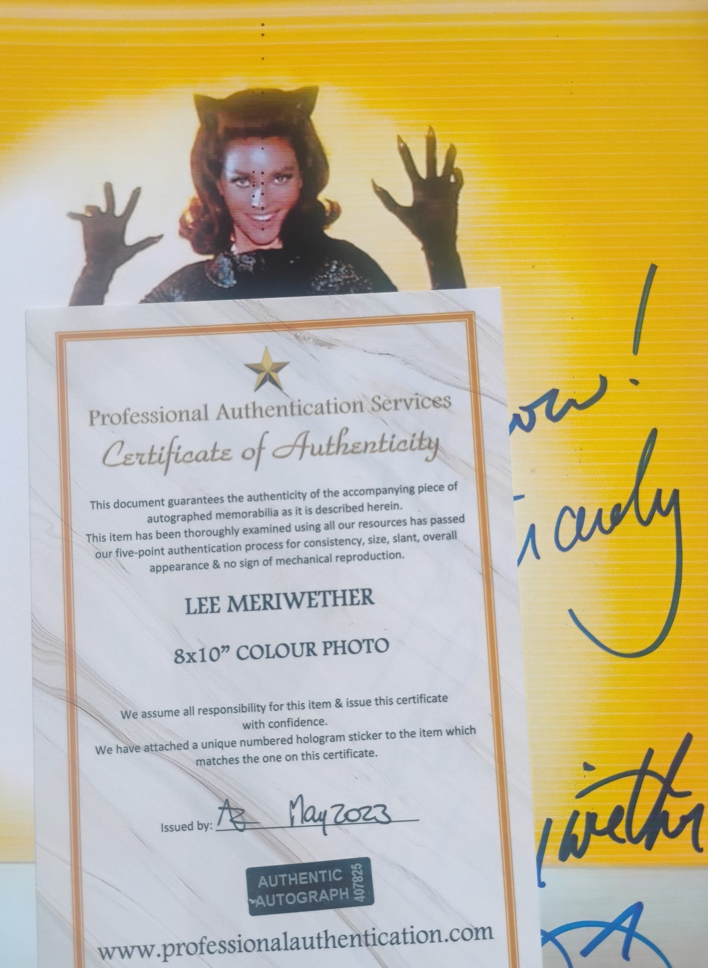 Lee Meriwether Hand Signed Autograph 8x10 Photo COA Catwoman