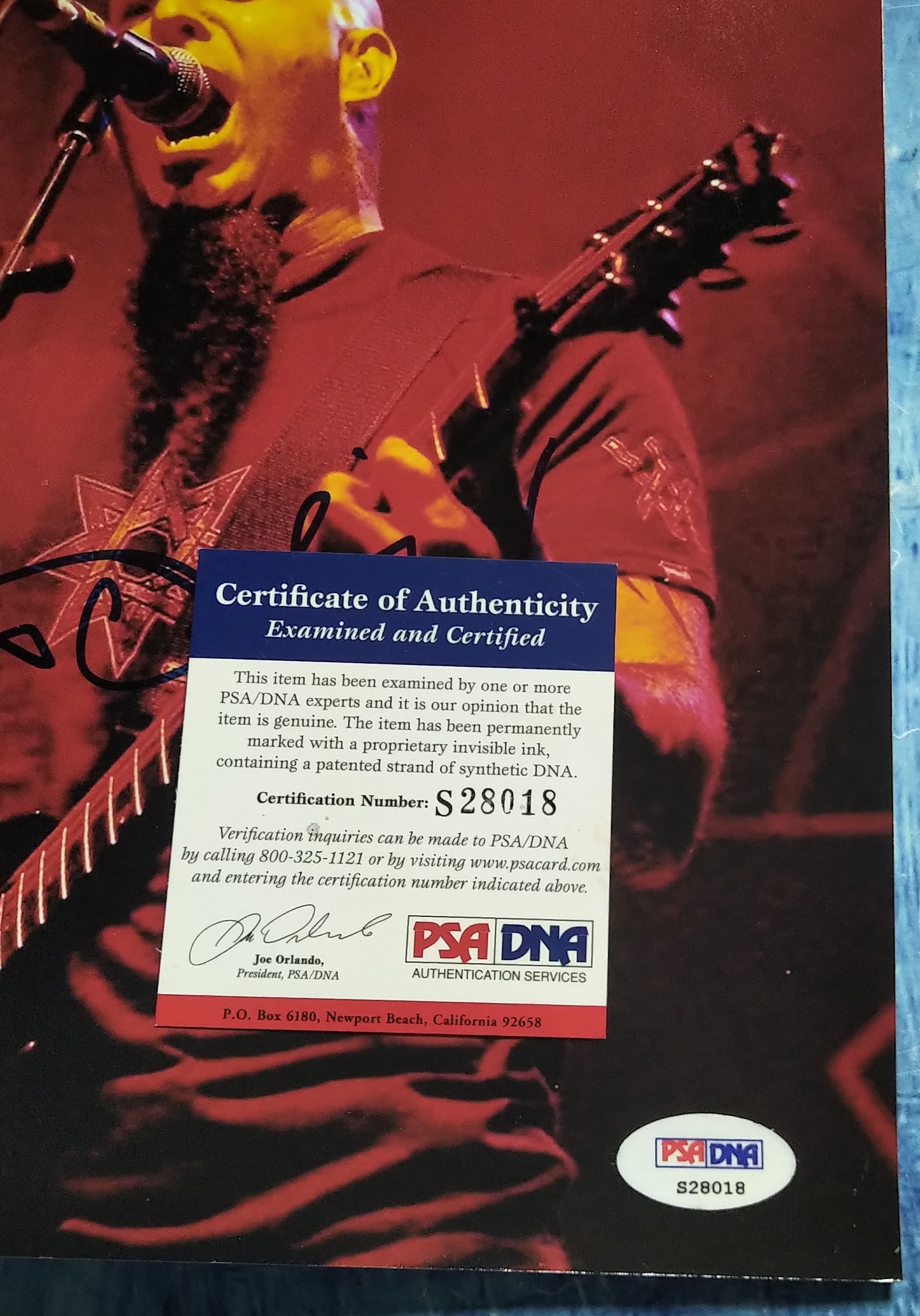 Scott Ian Hand Signed Autograph 8x10 Photo PSA COA Anthrax