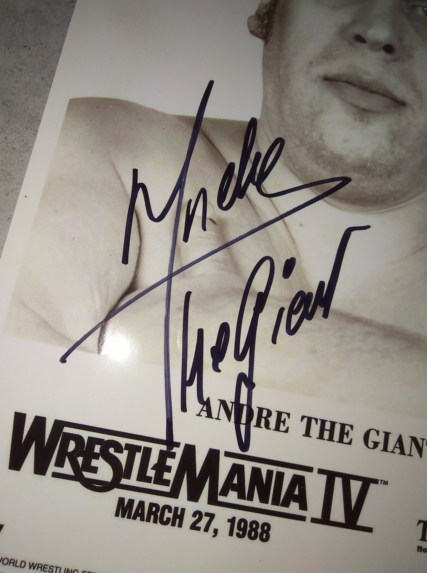Andre The Giant Hand Signed Autograph 8x10 Photo COA