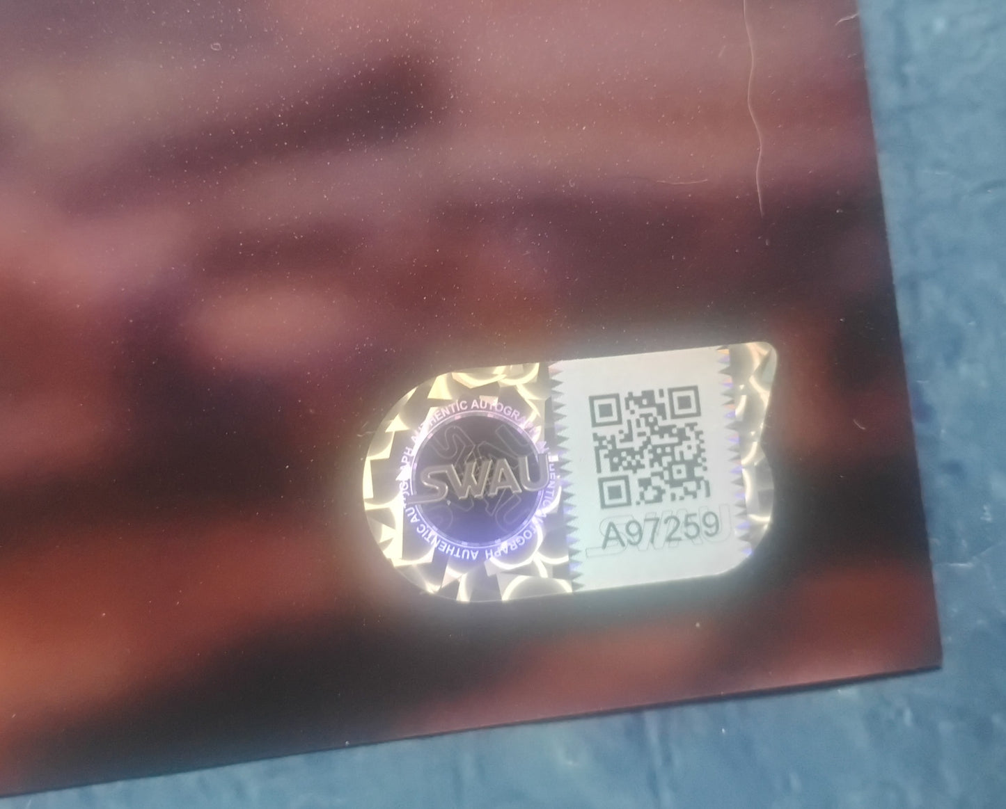 Joe Keery Hand Signed Autograph 11x14 Photo SWAU COA Stranger Things