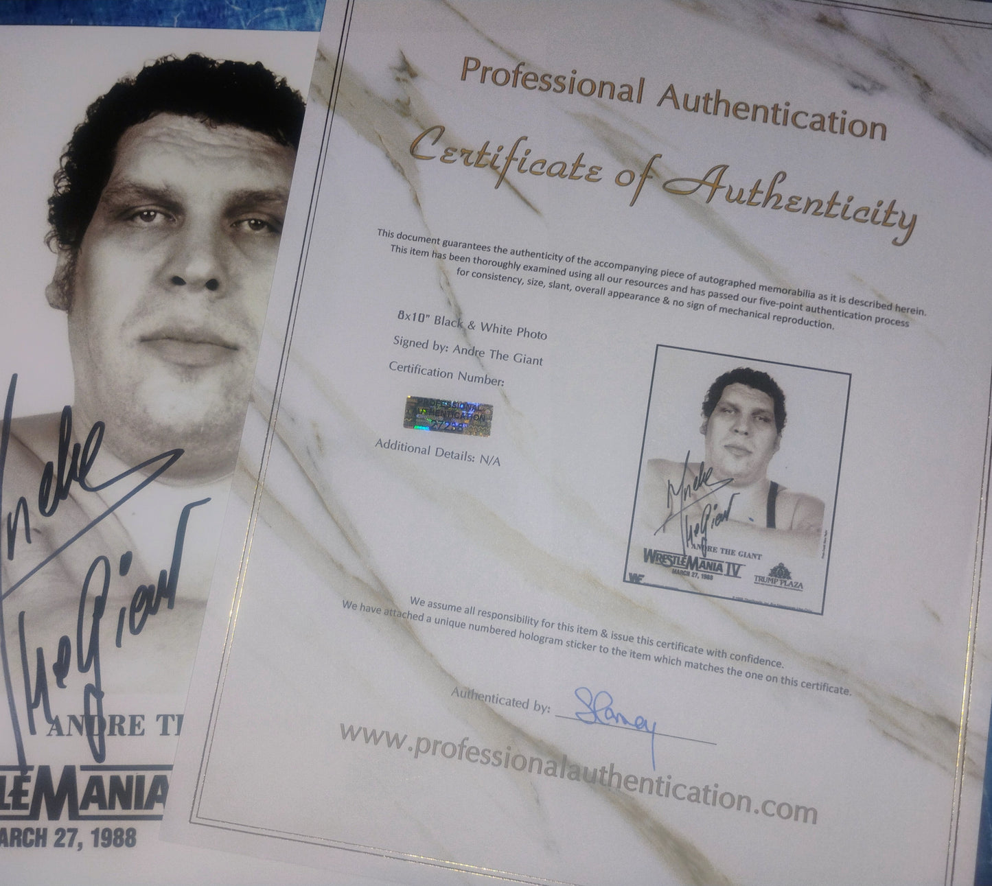 Andre The Giant Hand Signed Autograph 8x10 Photo COA