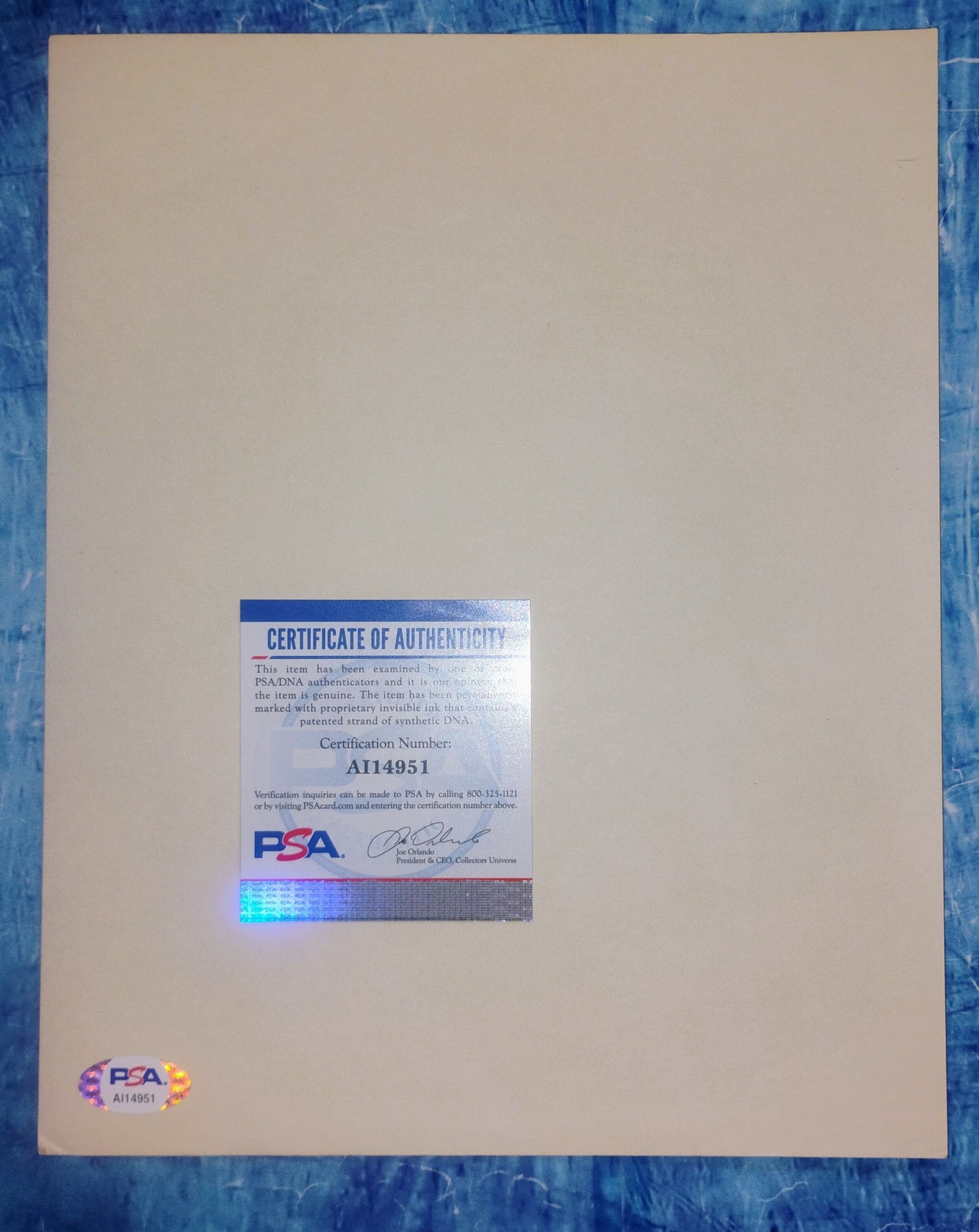 Loretta Lynn Hand Signed Autograph 8x10 Photo PSA COA