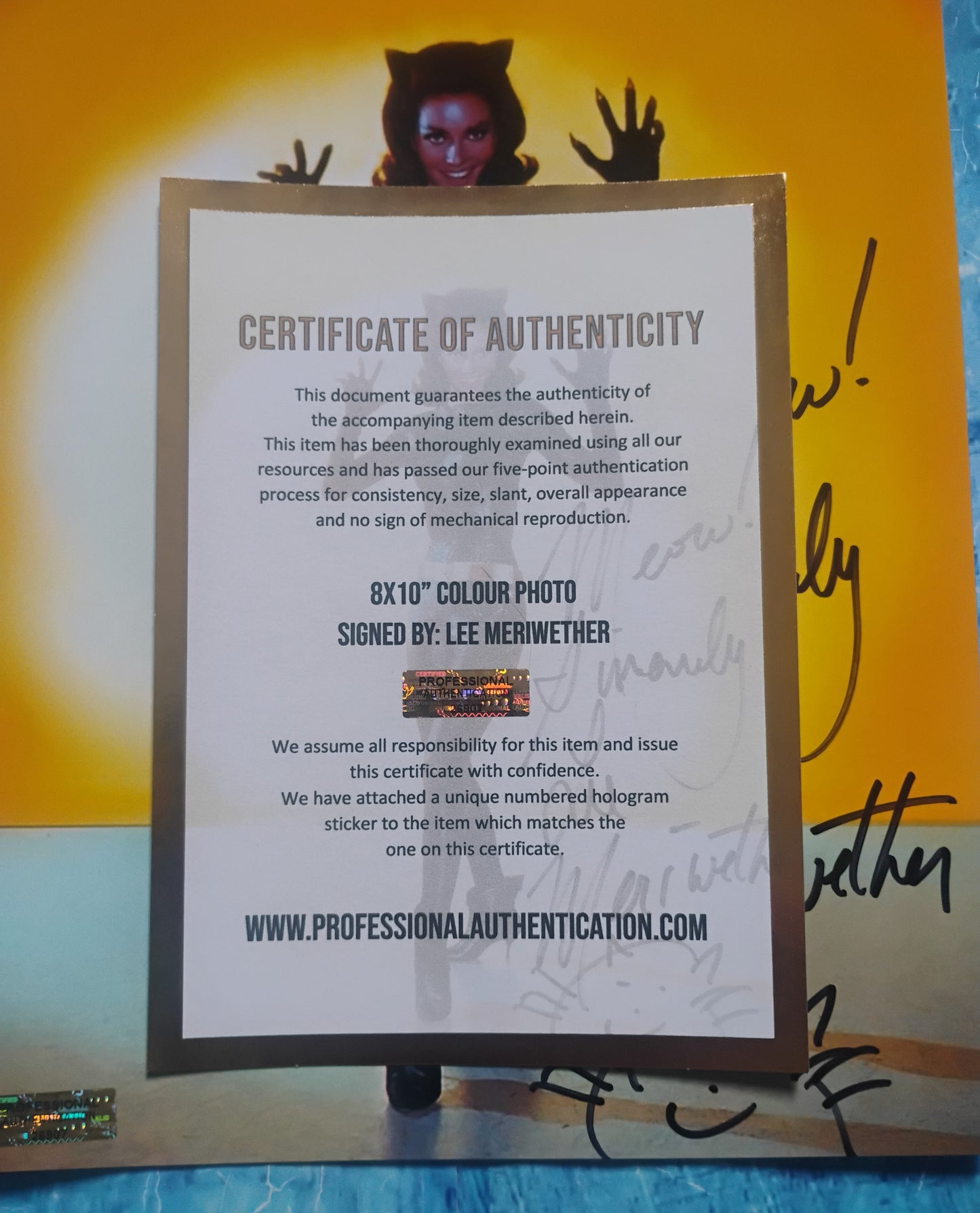 Lee Meriwether Hand Signed Autograph 8x10 Photo COA Catwoman