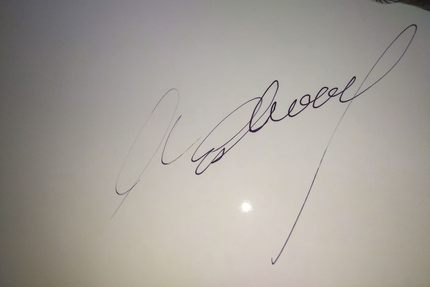 Clint Eastwood Hand Signed Autograph 11x14 Photo COA