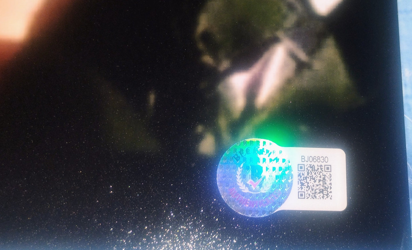 Tom Skerritt Hand Signed Autograph 8x10 Photo BAS COA Top Gun