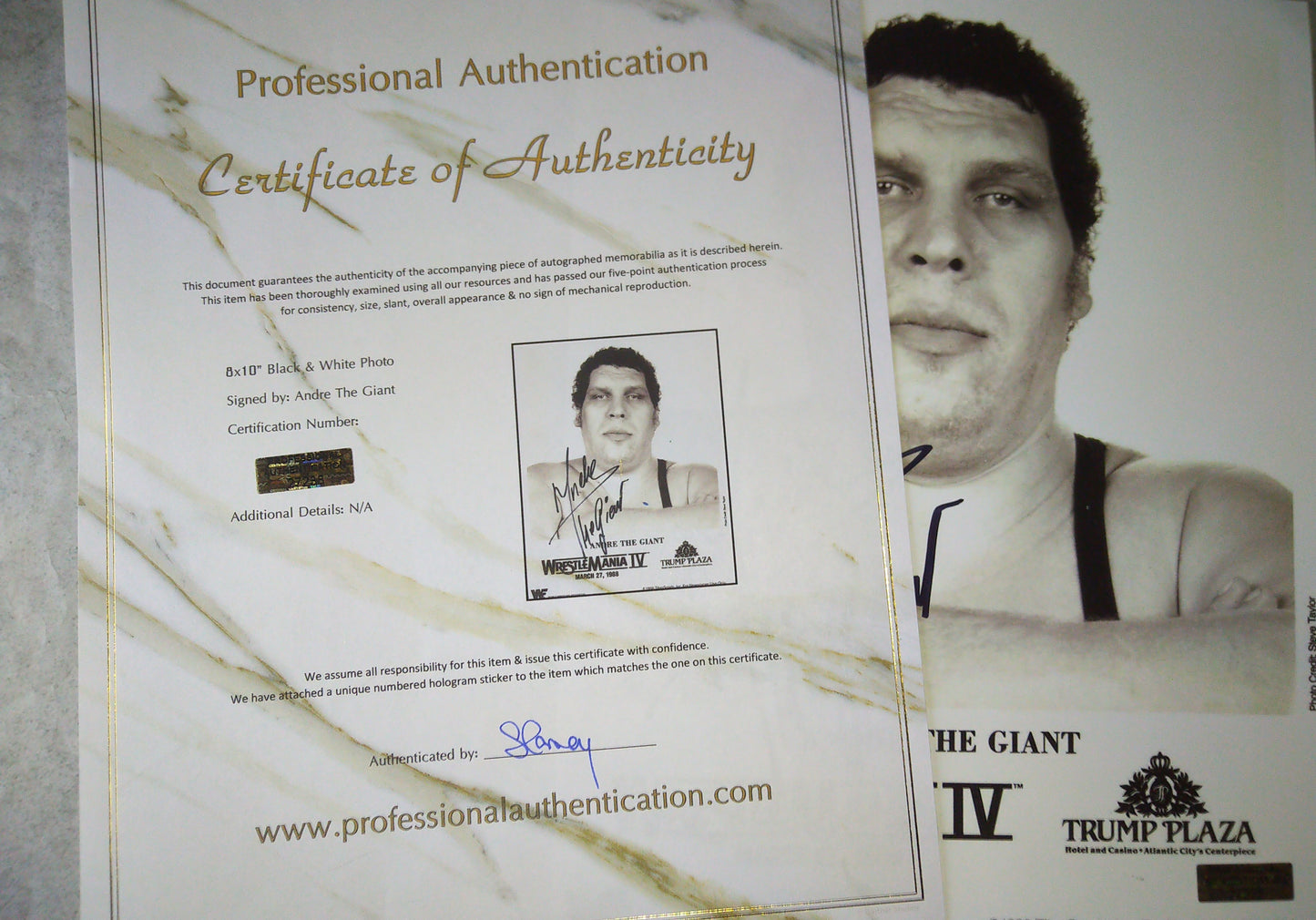Andre The Giant Hand Signed Autograph 8x10 Photo COA