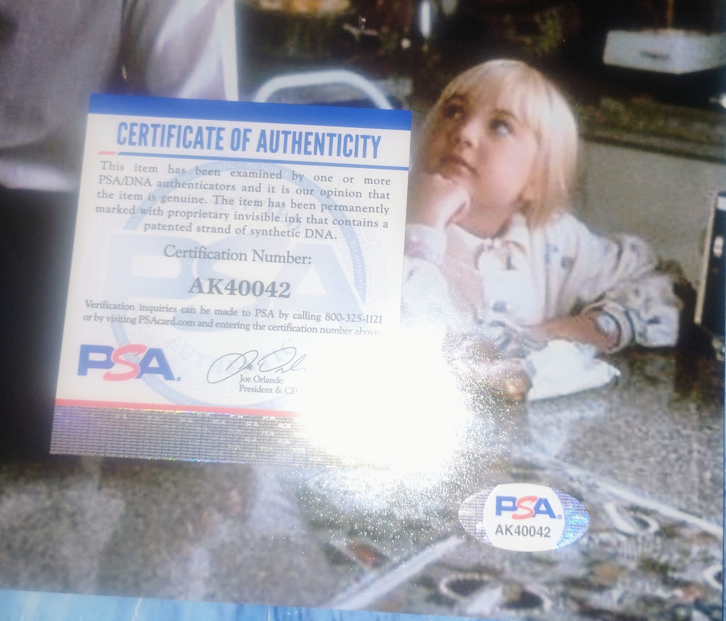 Tom Skerritt Hand Signed Autograph 8x10 Photo PSA COA Poltergeist