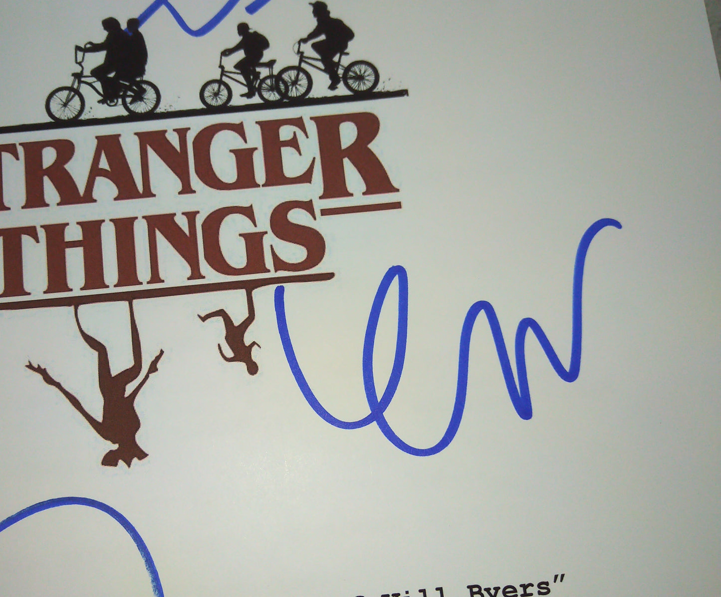 Stranger Things Cast Hand Signed Autograph Script COA David Harbour