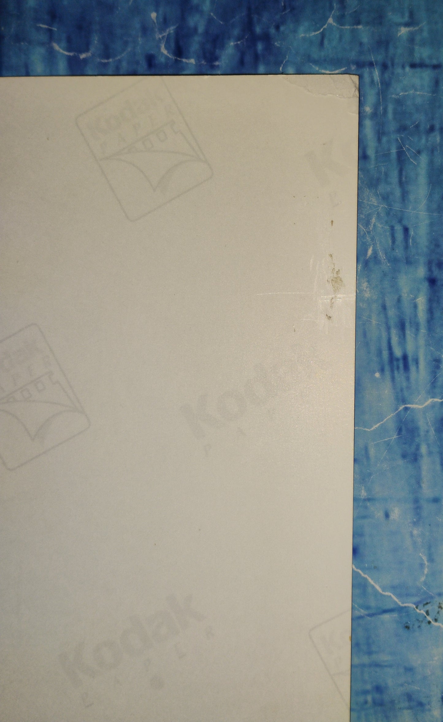 Lee Meriwether Hand Signed Autograph 8x10 Photo JSA COA Catwoman