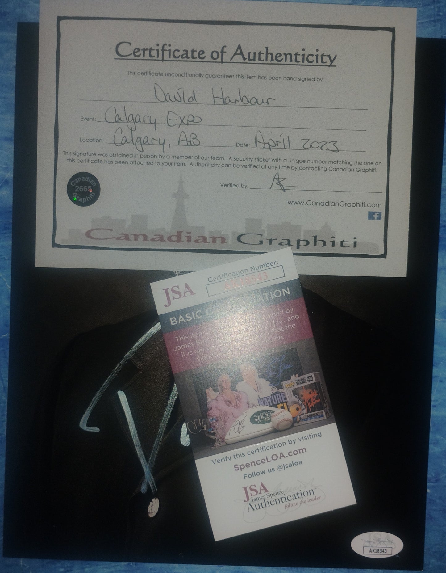 David Harbour Hand Signed Autograph 8x10 Photo JSA COA Stranger Things