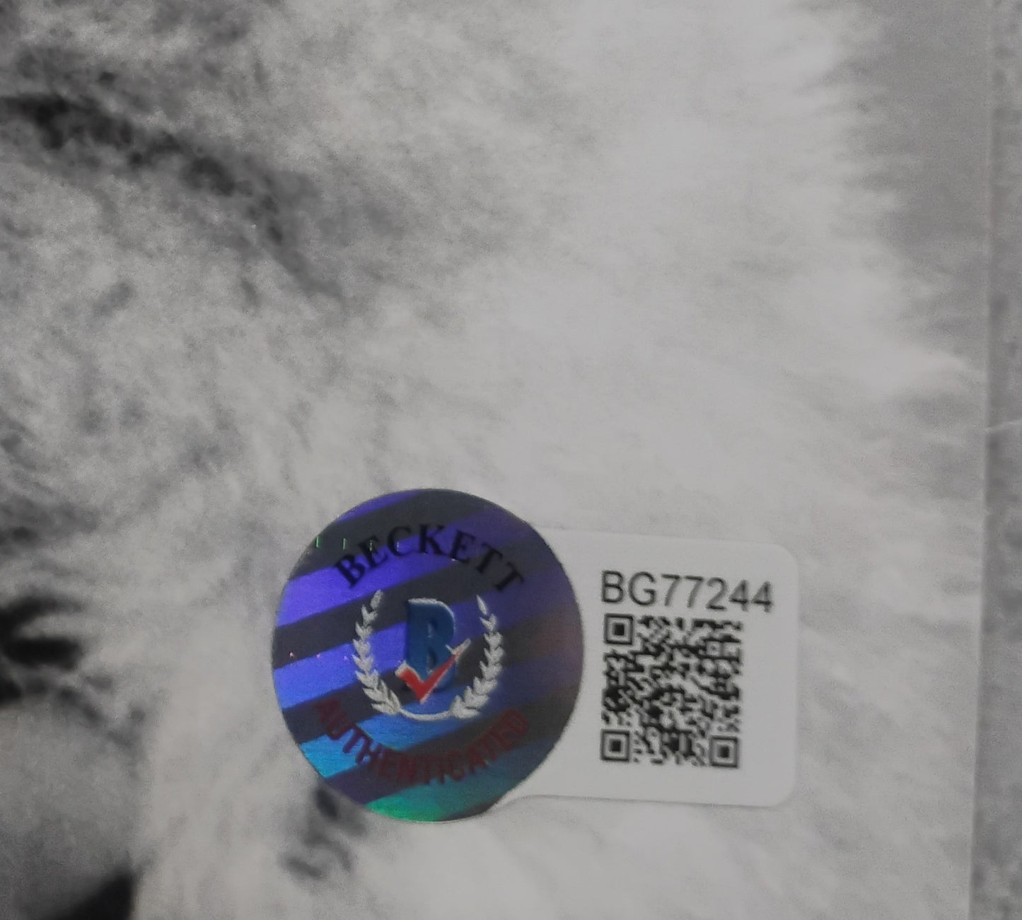 Sophia Loren Hand Signed Autograph 8x10 Photo BAS COA