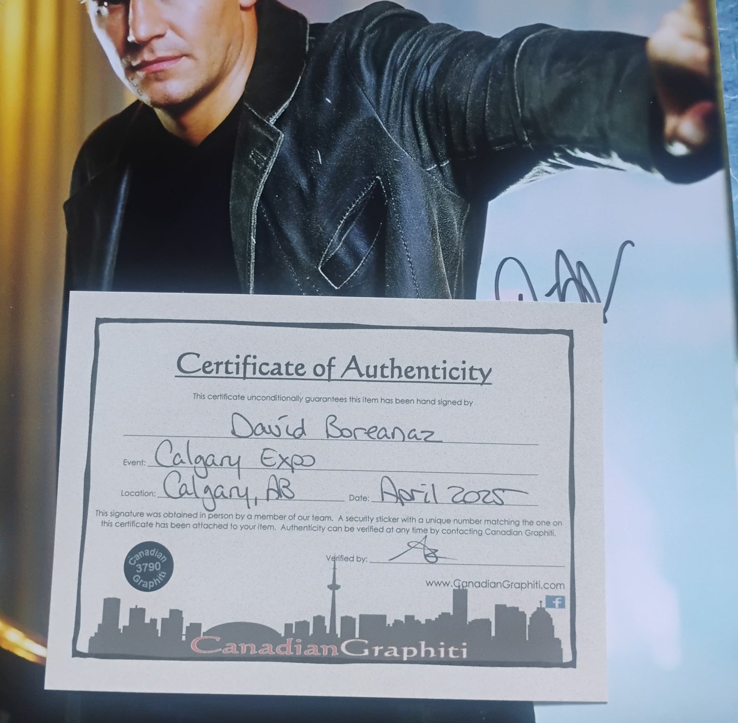 David Boreanaz Hand Signed Autograph 11x14 Photo COA
