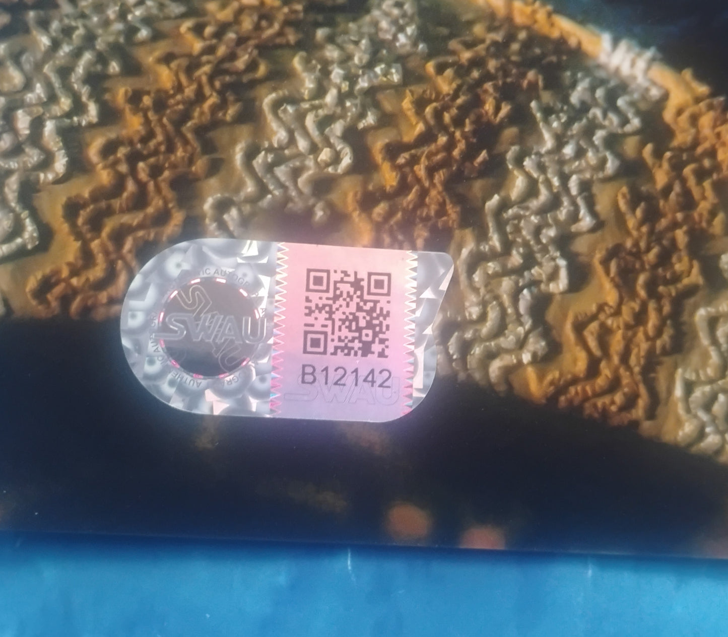 Winona Ryder Hand Signed Autograph 11x14 Photo SWAU COA Stranger Things