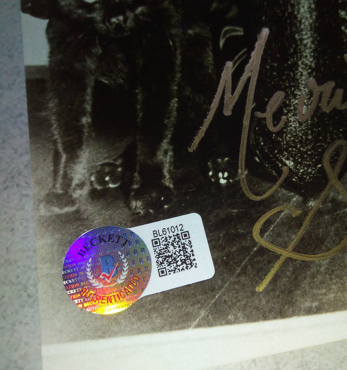 Lee Meriwether Hand Signed Autograph 8x10 Photo BAS COA Catwoman