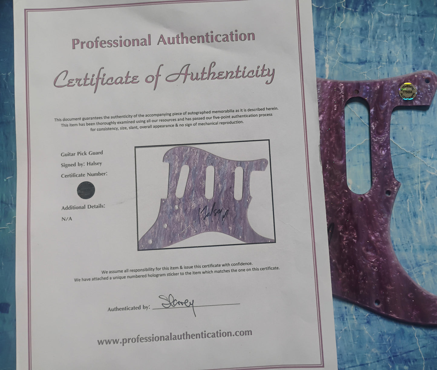 Halsey Hand Signed Autograph Guitar Pick Guard COA