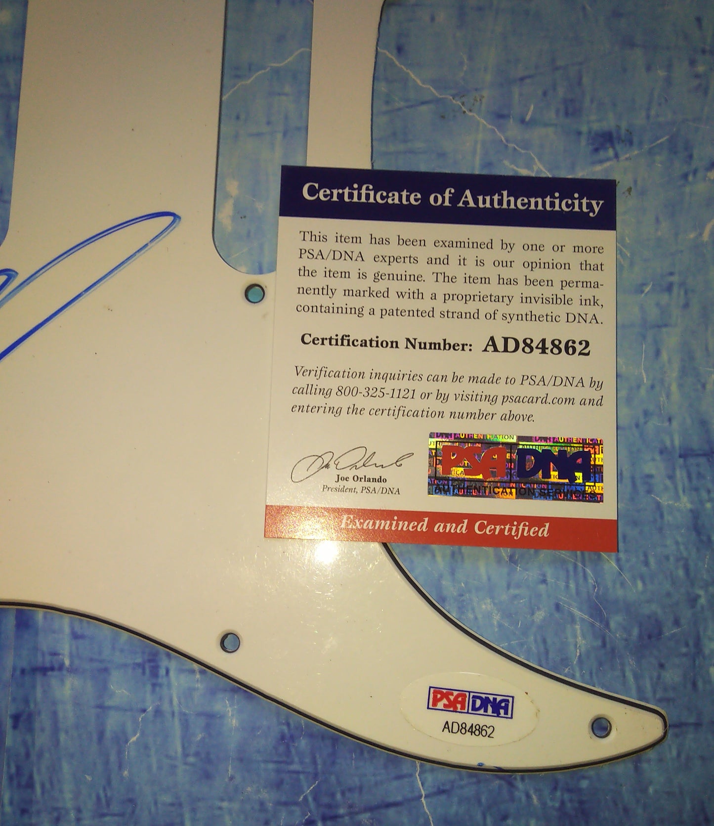 Brad Arnold Hand Signed Autograph Guitar Pick Guard PSA COA 3 Doors Down